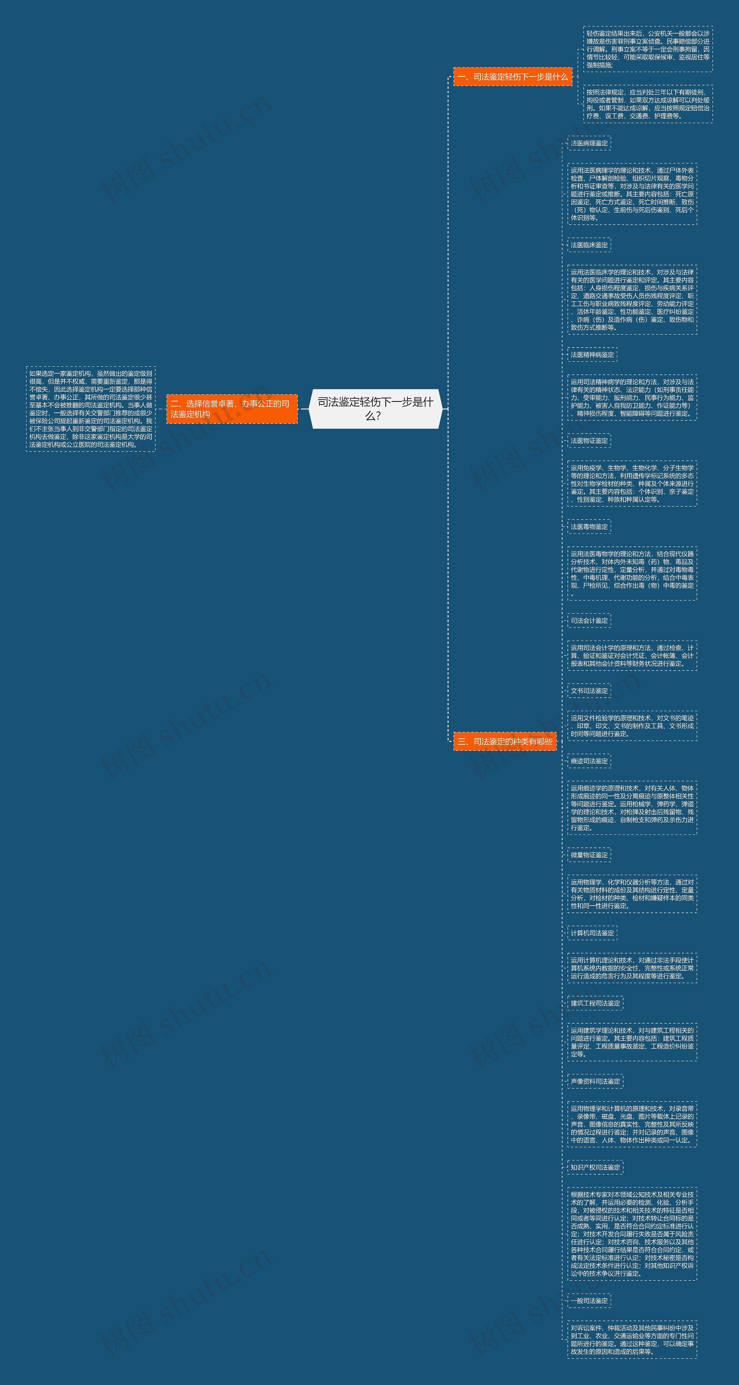 司法鉴定轻伤下一步是什么？思维导图