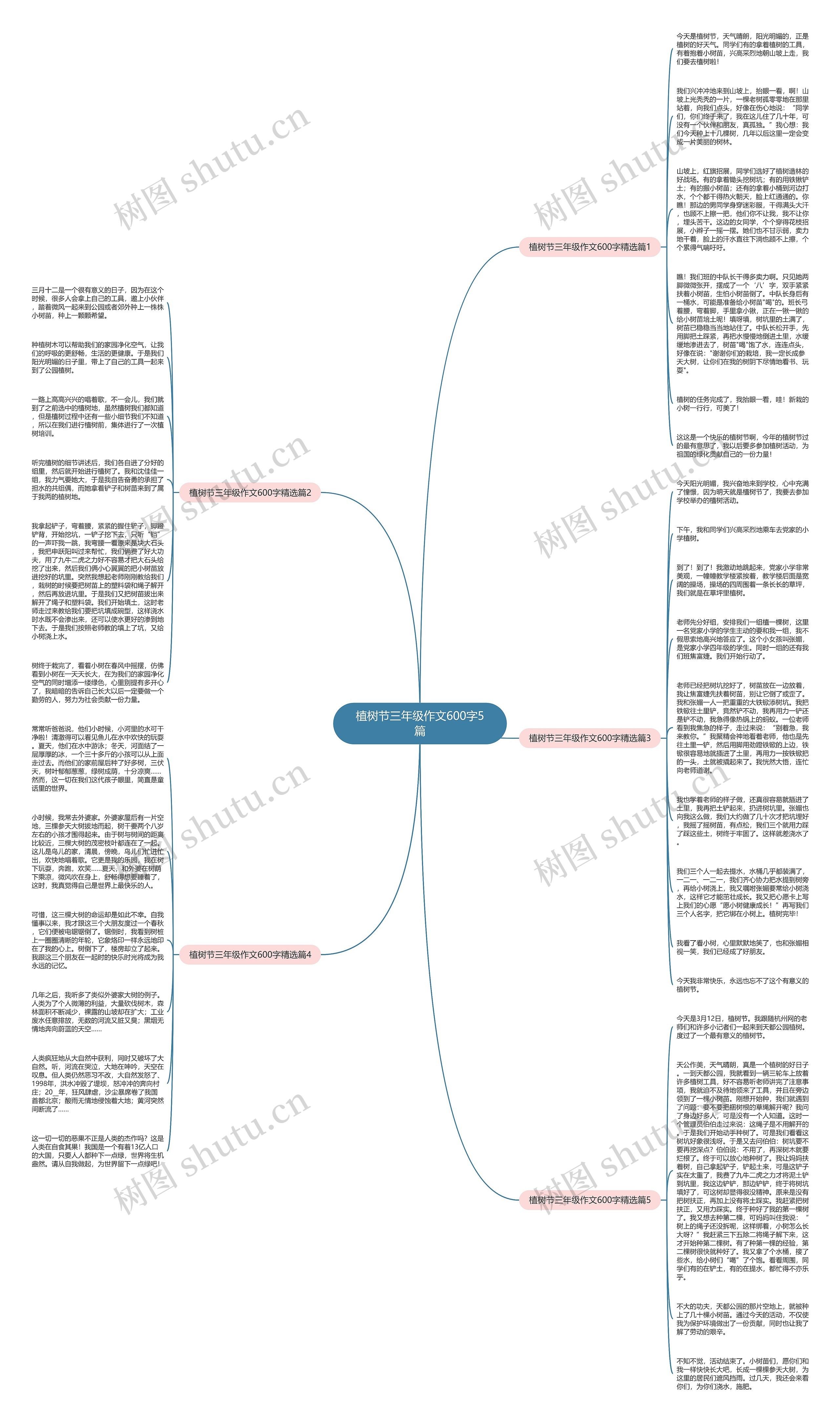 植树节三年级作文600字5篇思维导图