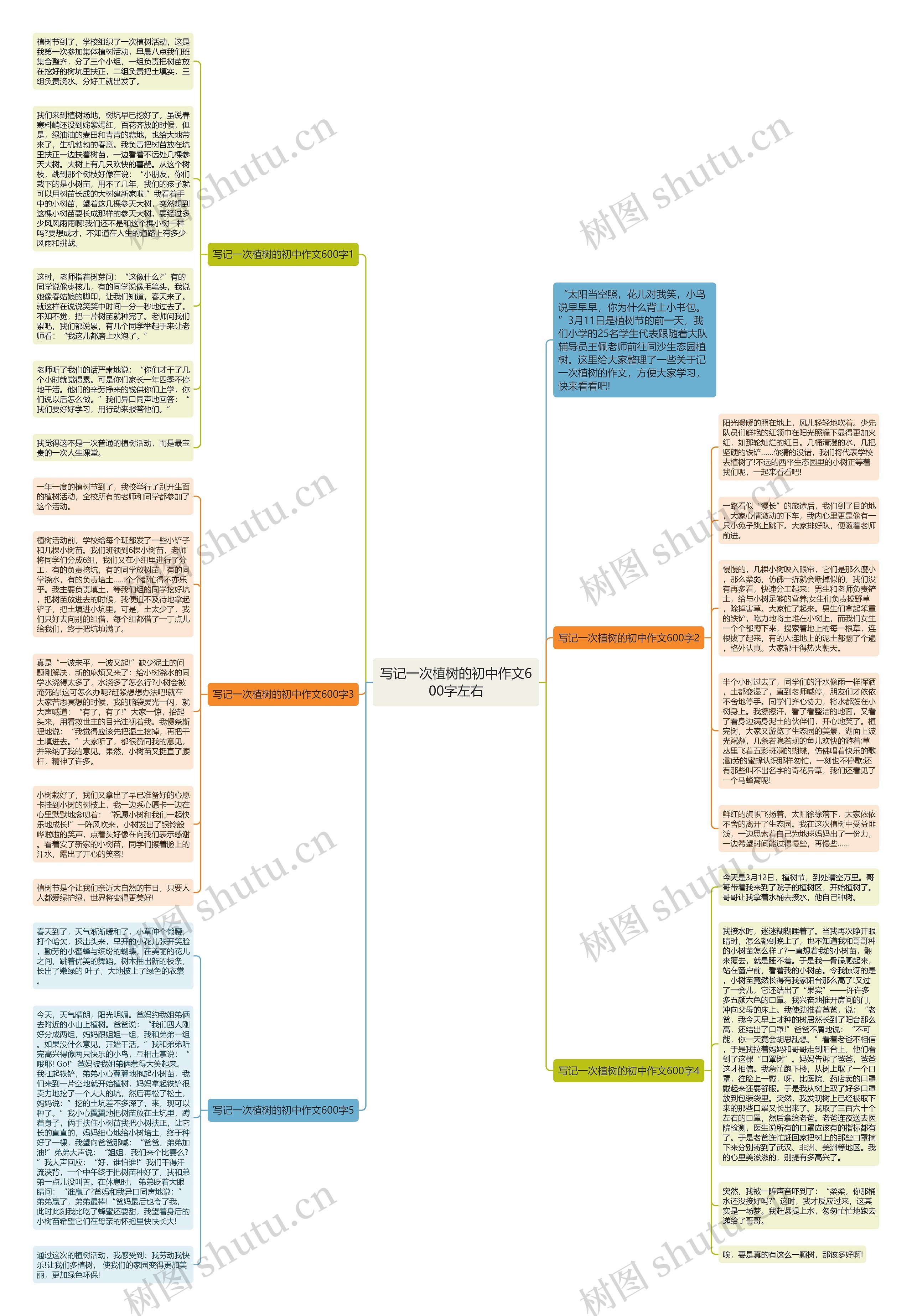 写记一次植树的初中作文600字左右思维导图