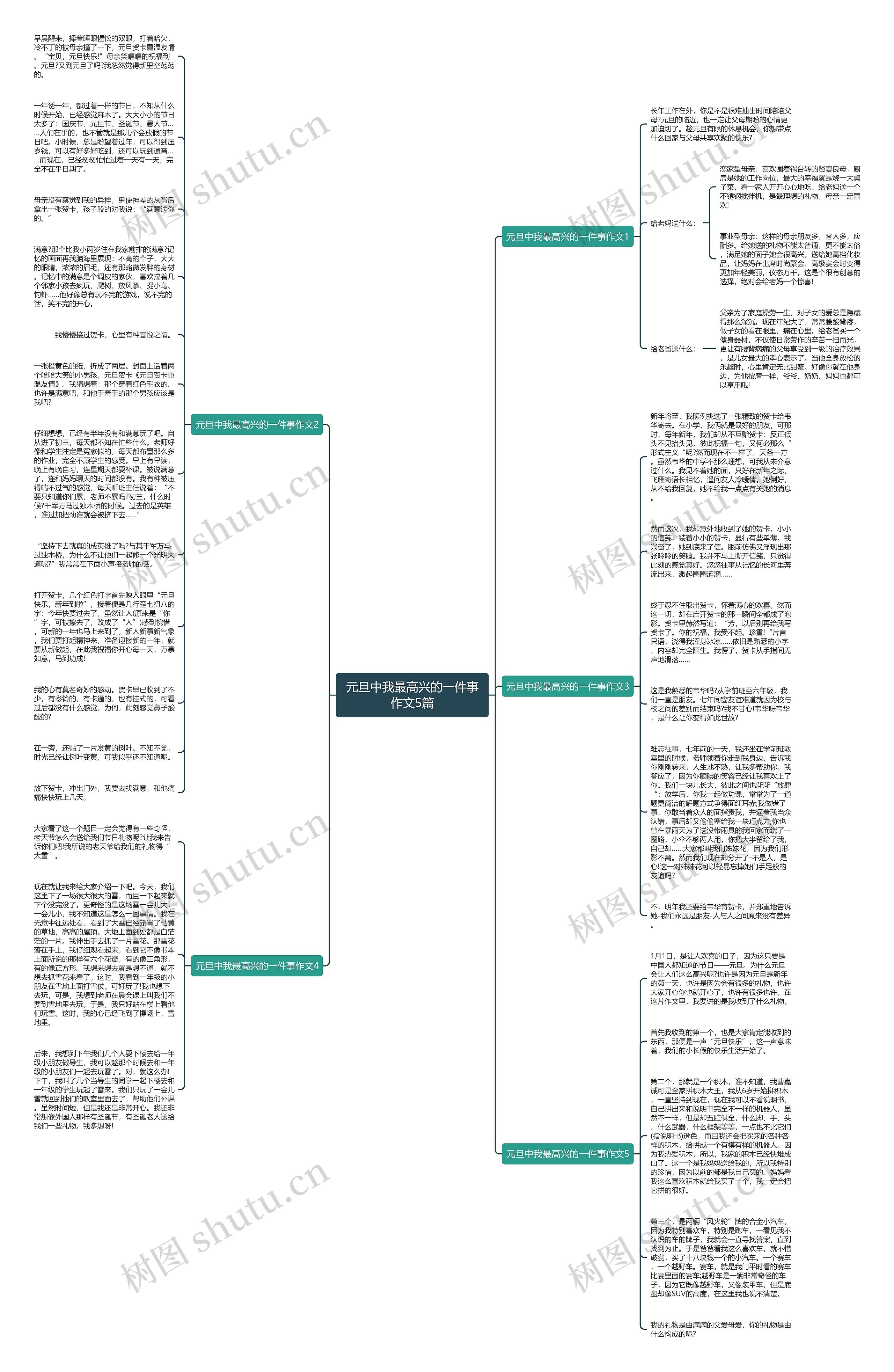 元旦中我最高兴的一件事作文5篇思维导图