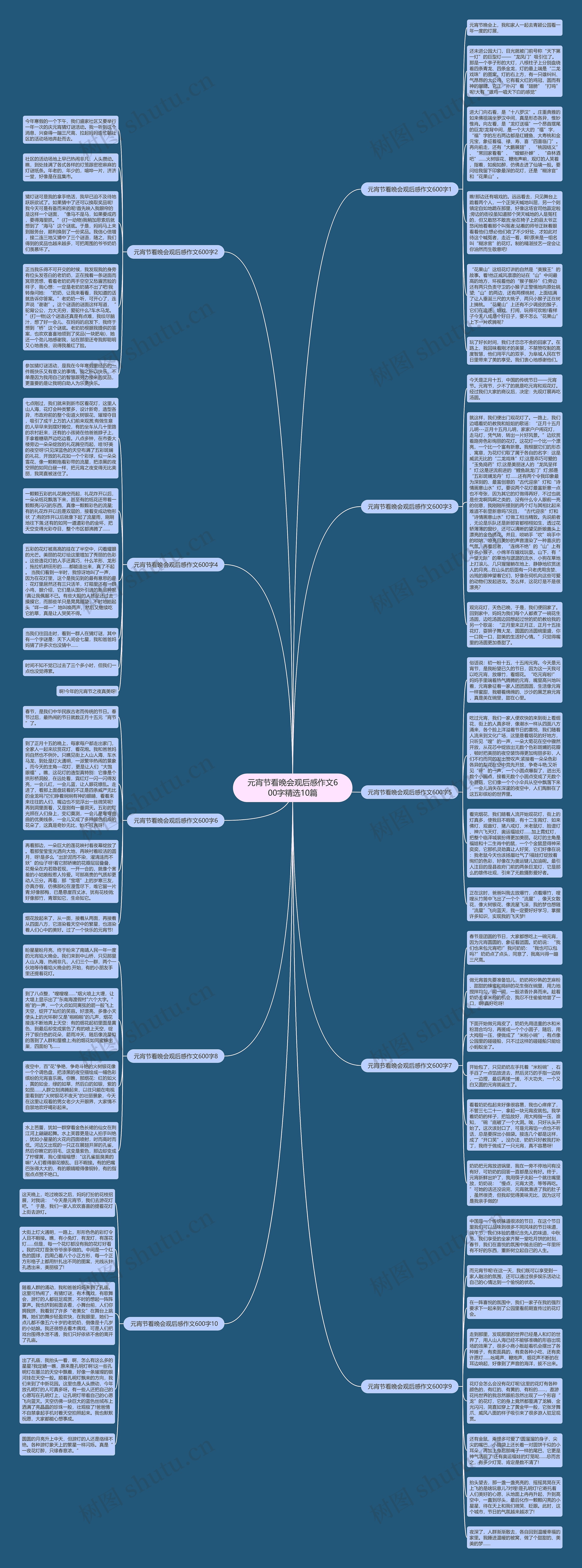 元宵节看晚会观后感作文600字精选10篇思维导图