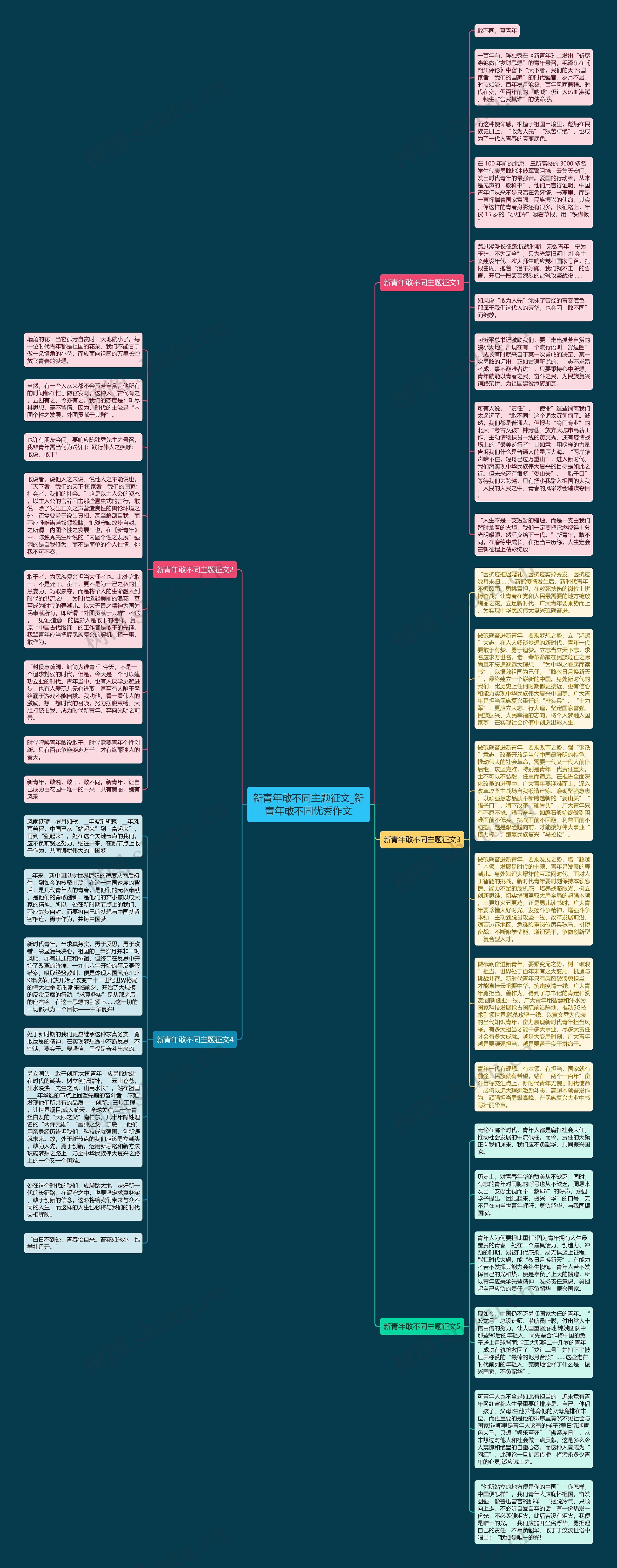 新青年敢不同主题征文_新青年敢不同优秀作文思维导图