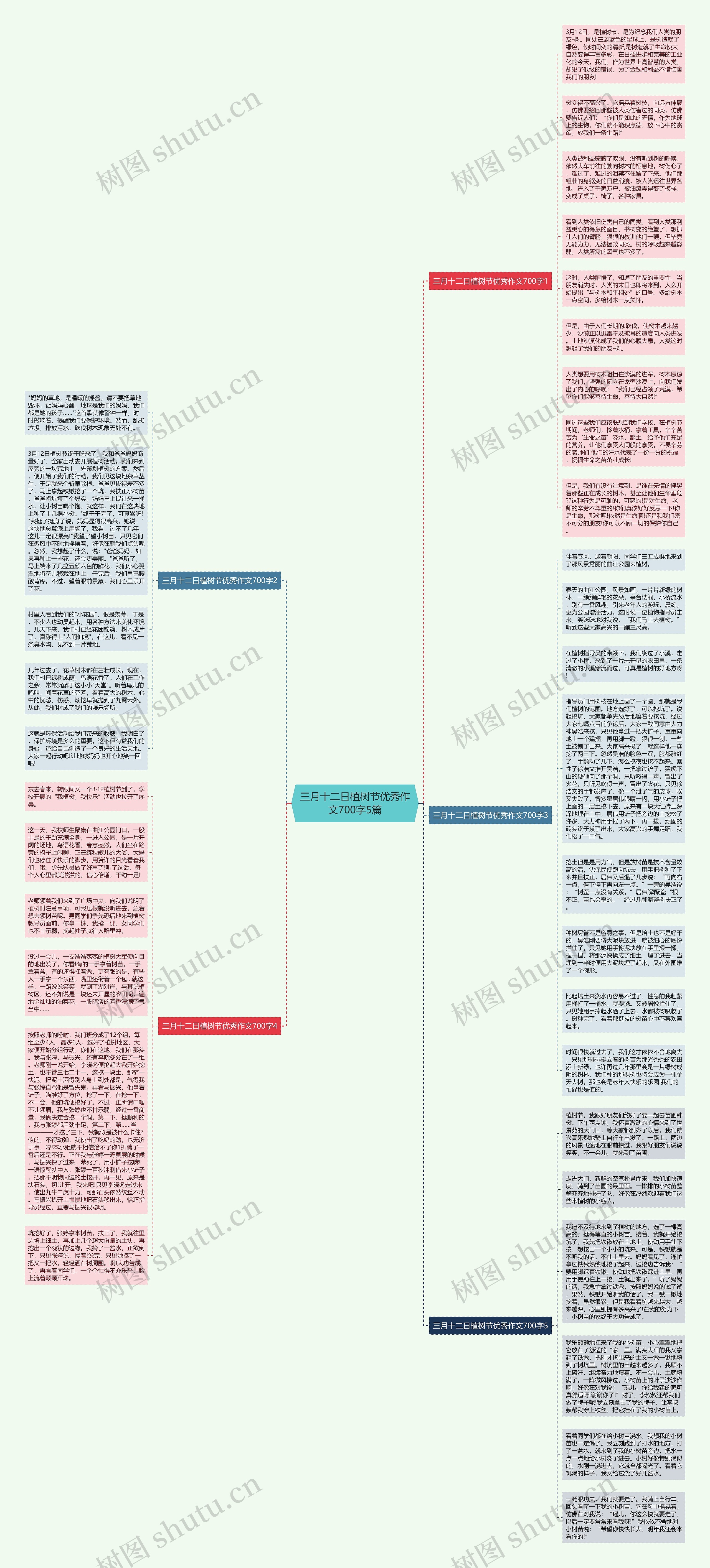 三月十二日植树节优秀作文700字5篇思维导图