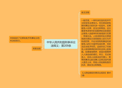 中华人民共和国刑事诉讼法释义：第209条