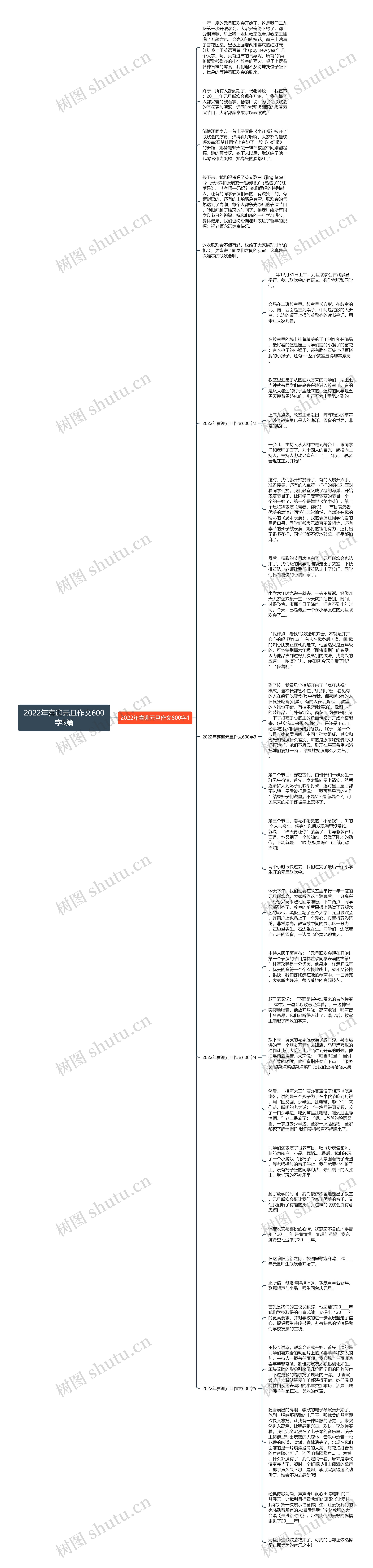 2022年喜迎元旦作文600字5篇思维导图