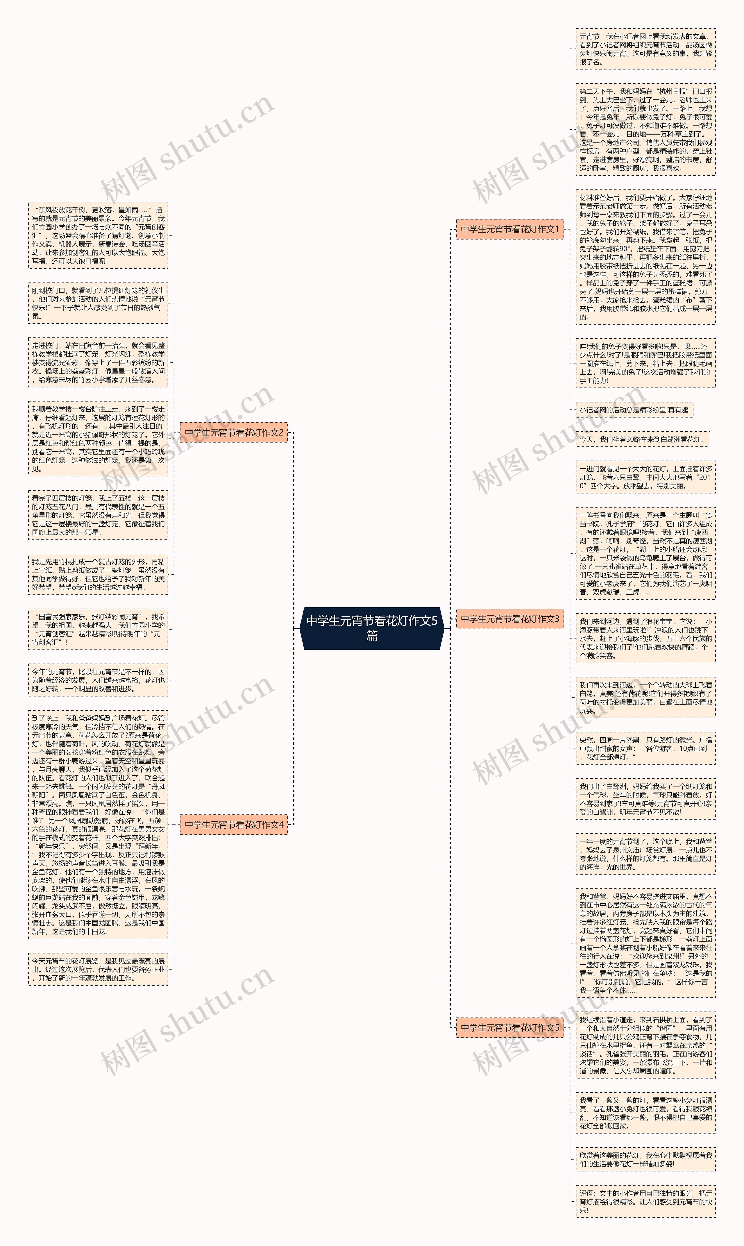 中学生元宵节看花灯作文5篇思维导图
