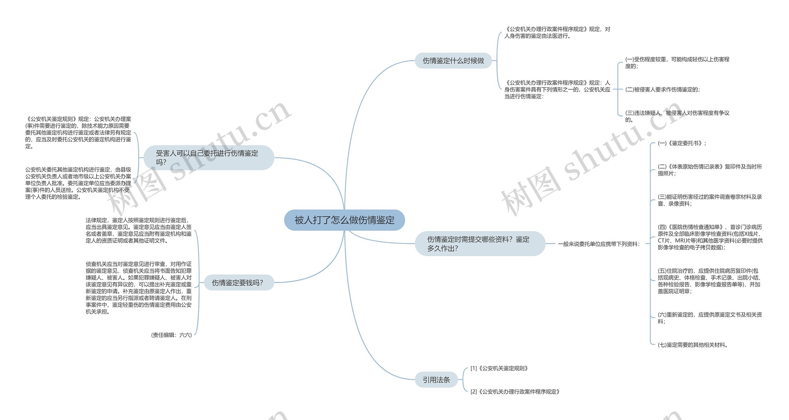 被人打了怎么做伤情鉴定思维导图