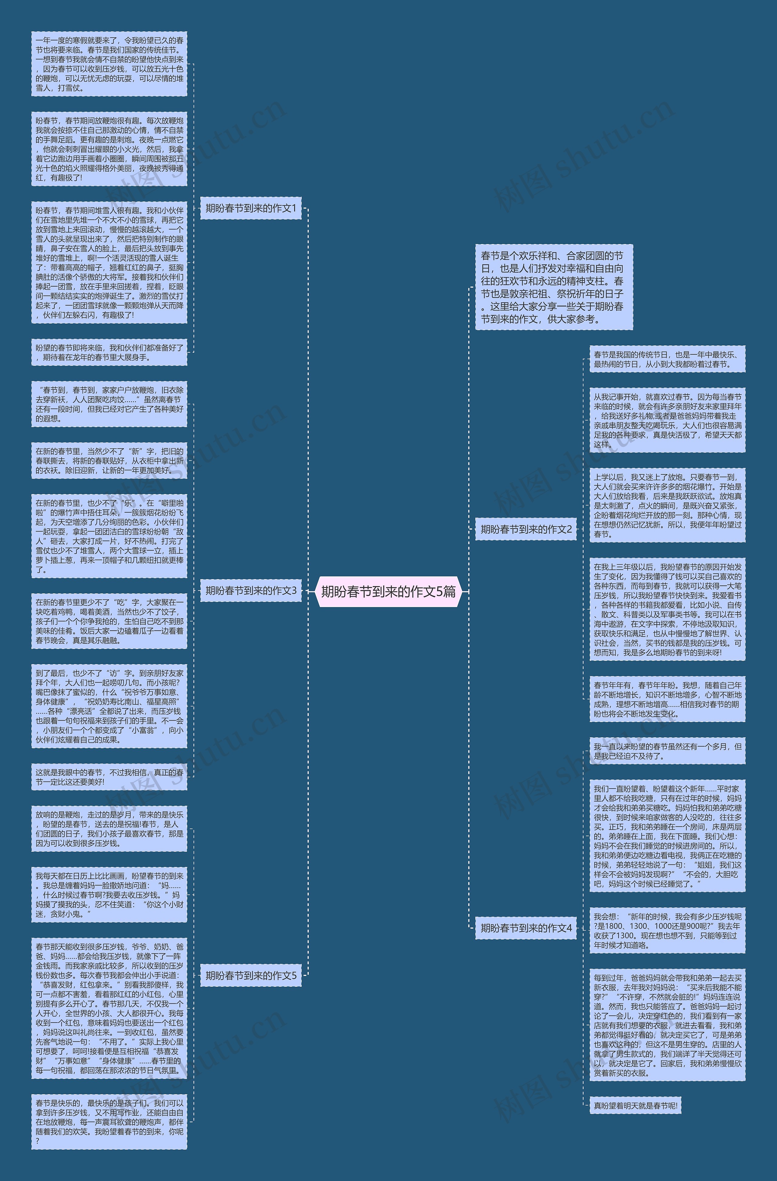 期盼春节到来的作文5篇思维导图