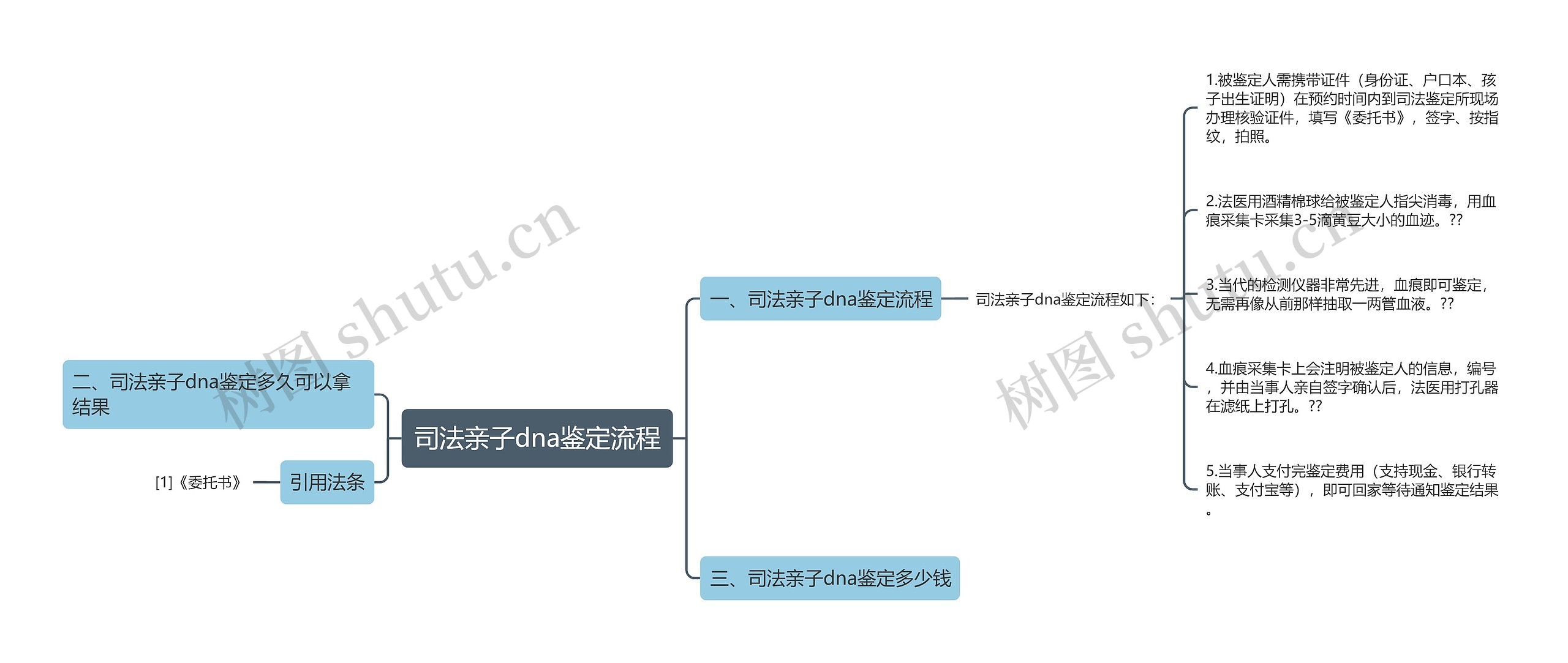 司法亲子dna鉴定流程思维导图