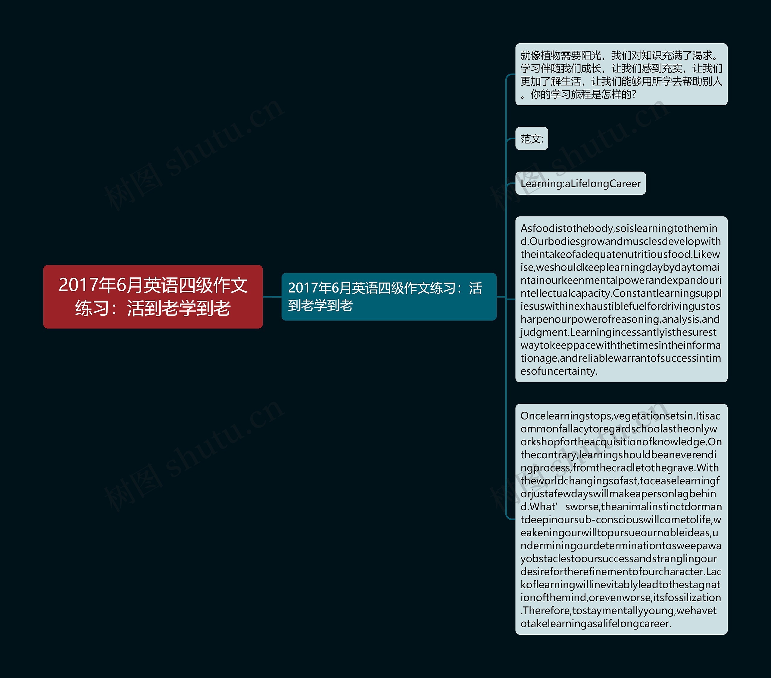 2017年6月英语四级作文练习：活到老学到老思维导图