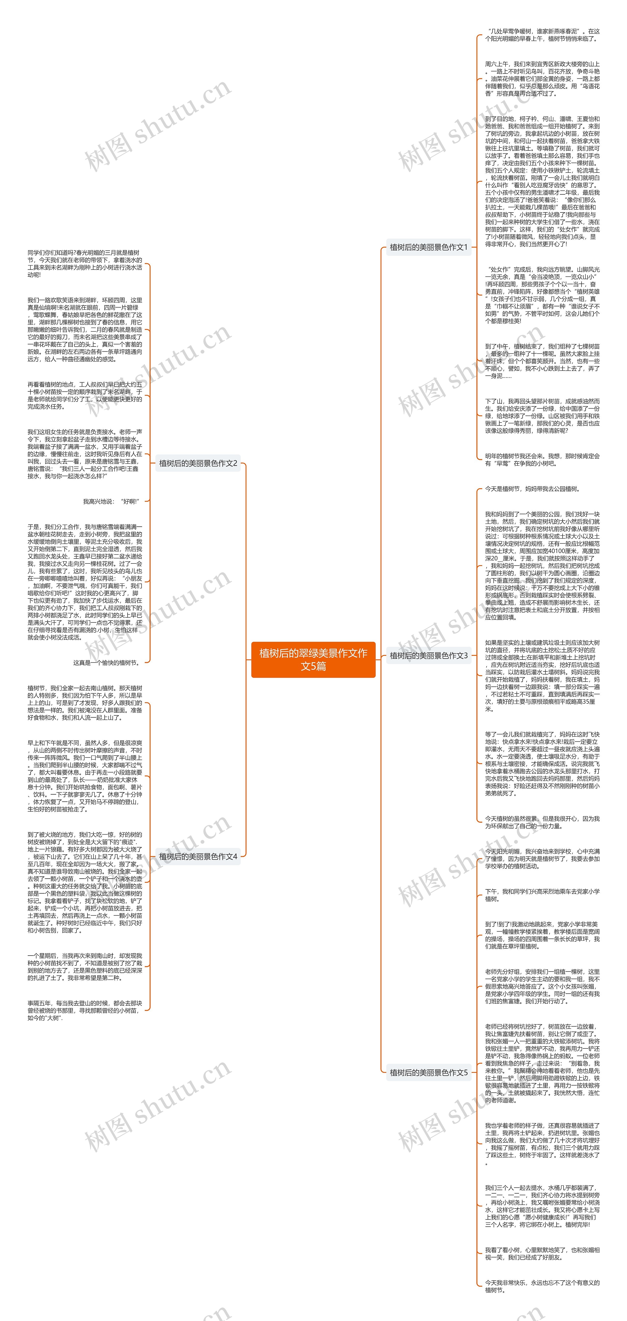 植树后的翠绿美景作文作文5篇思维导图