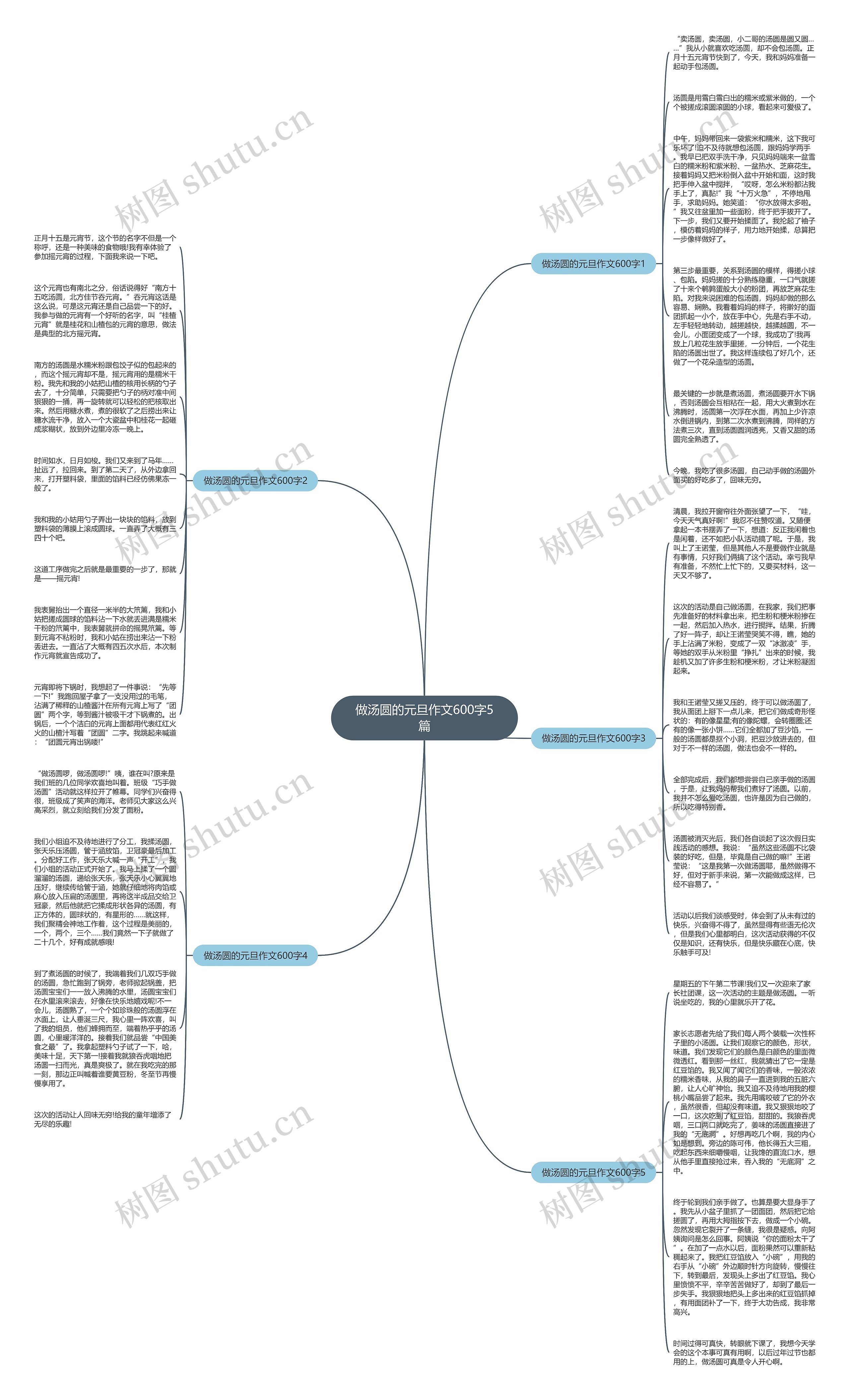 做汤圆的元旦作文600字5篇思维导图