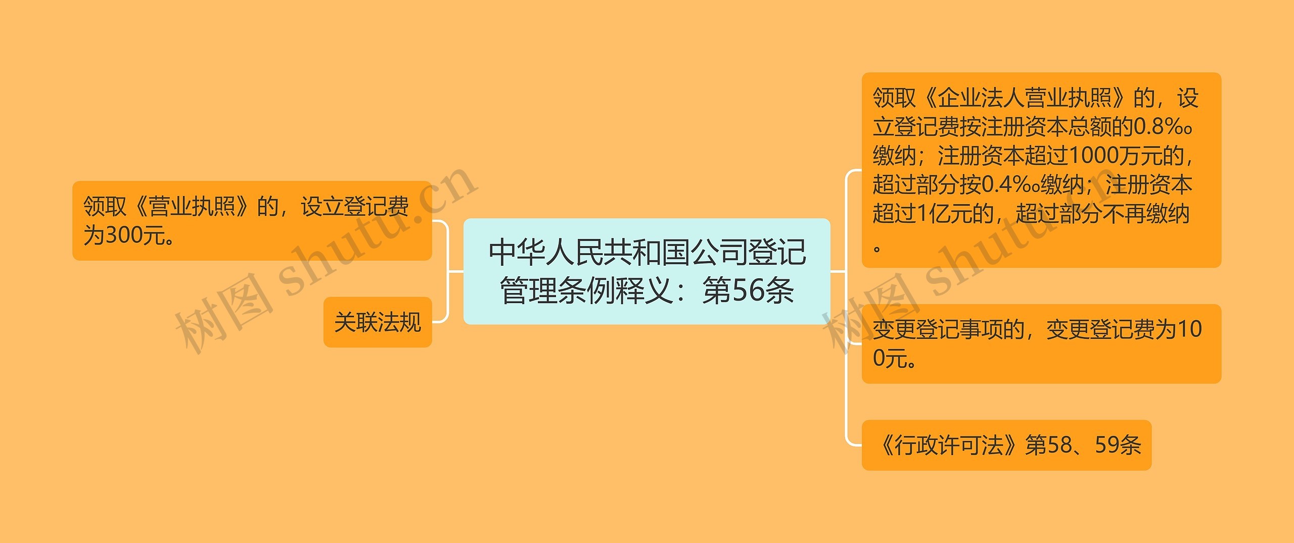 中华人民共和国公司登记管理条例释义：第56条