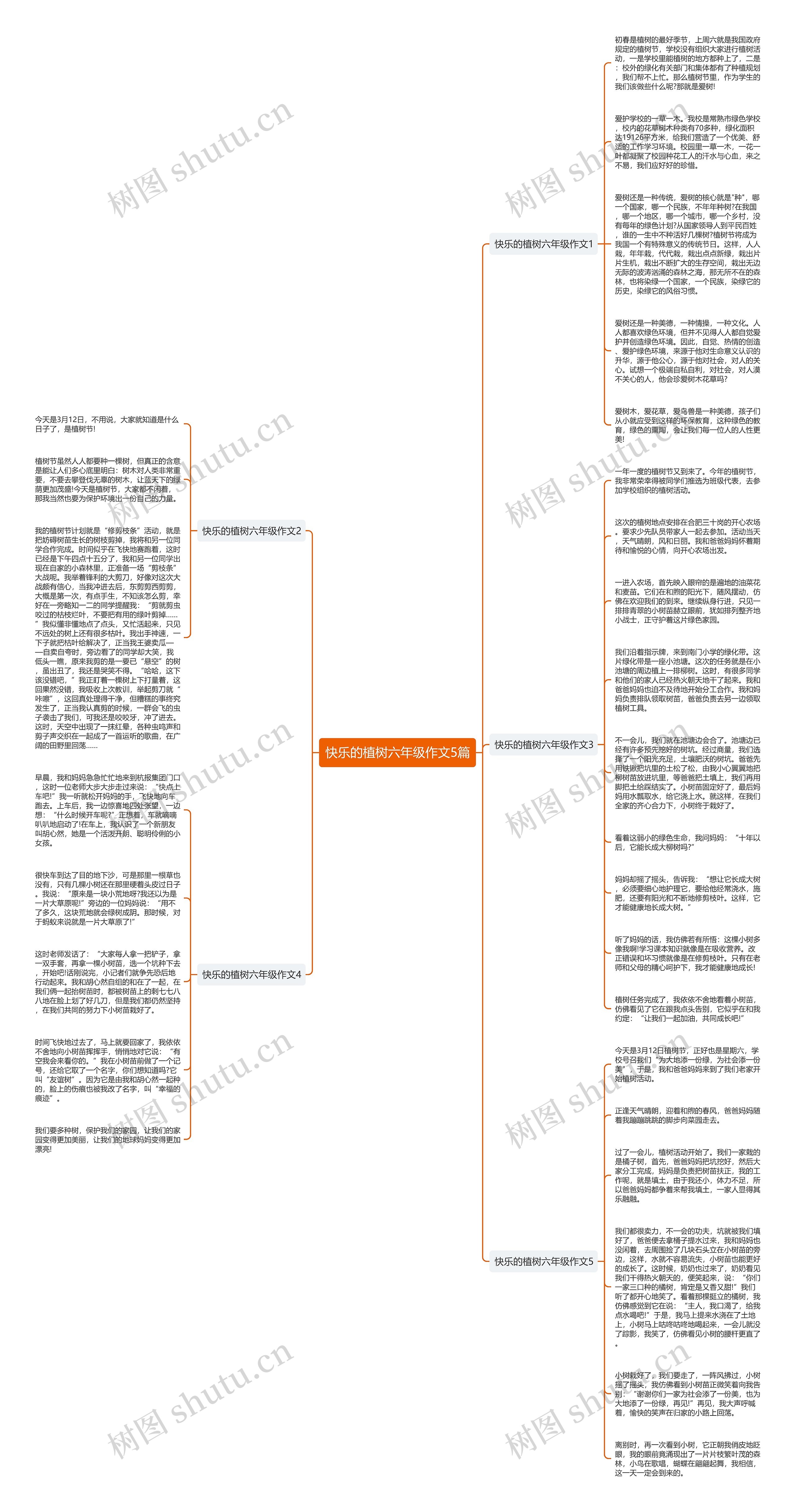 快乐的植树六年级作文5篇思维导图