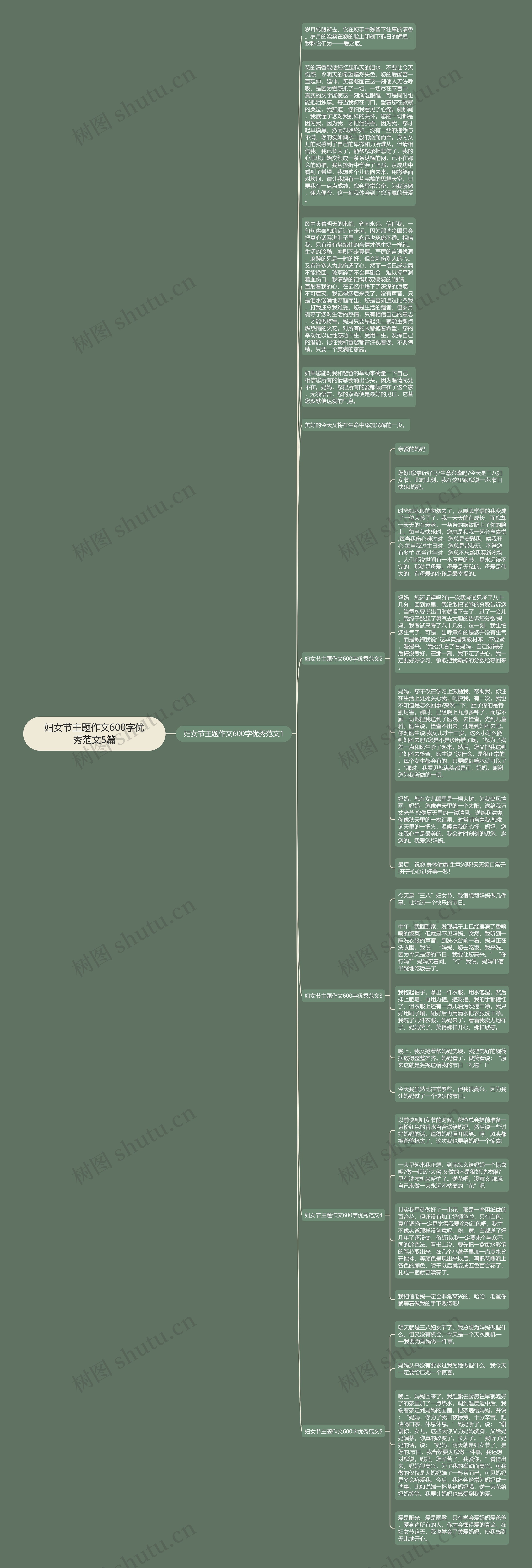 妇女节主题作文600字优秀范文5篇思维导图