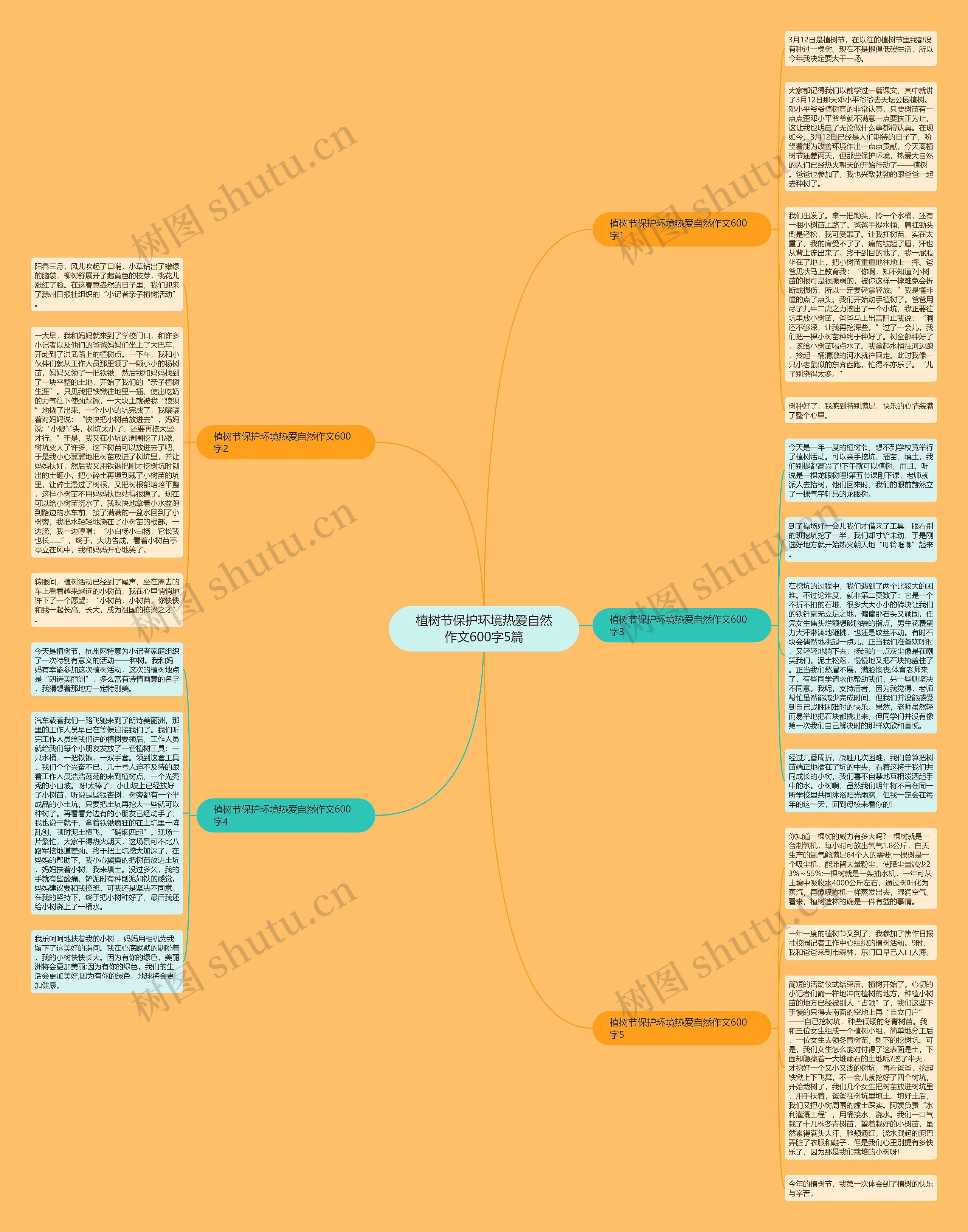 植树节保护环境热爱自然作文600字5篇思维导图