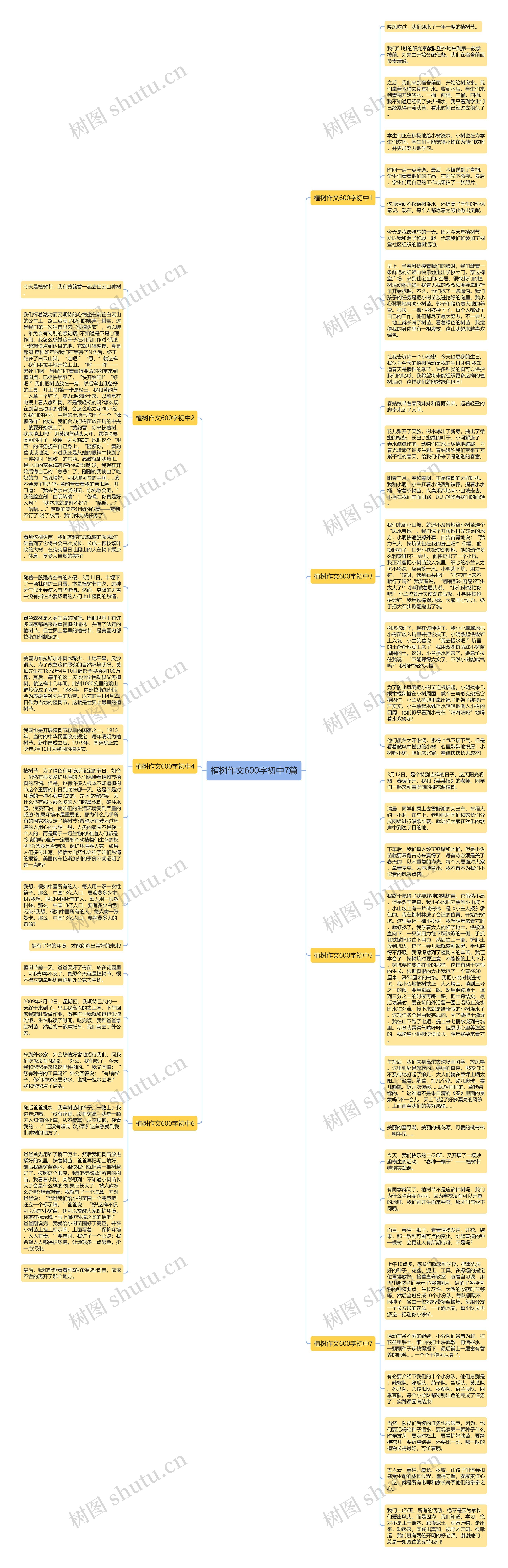 植树作文600字初中7篇思维导图