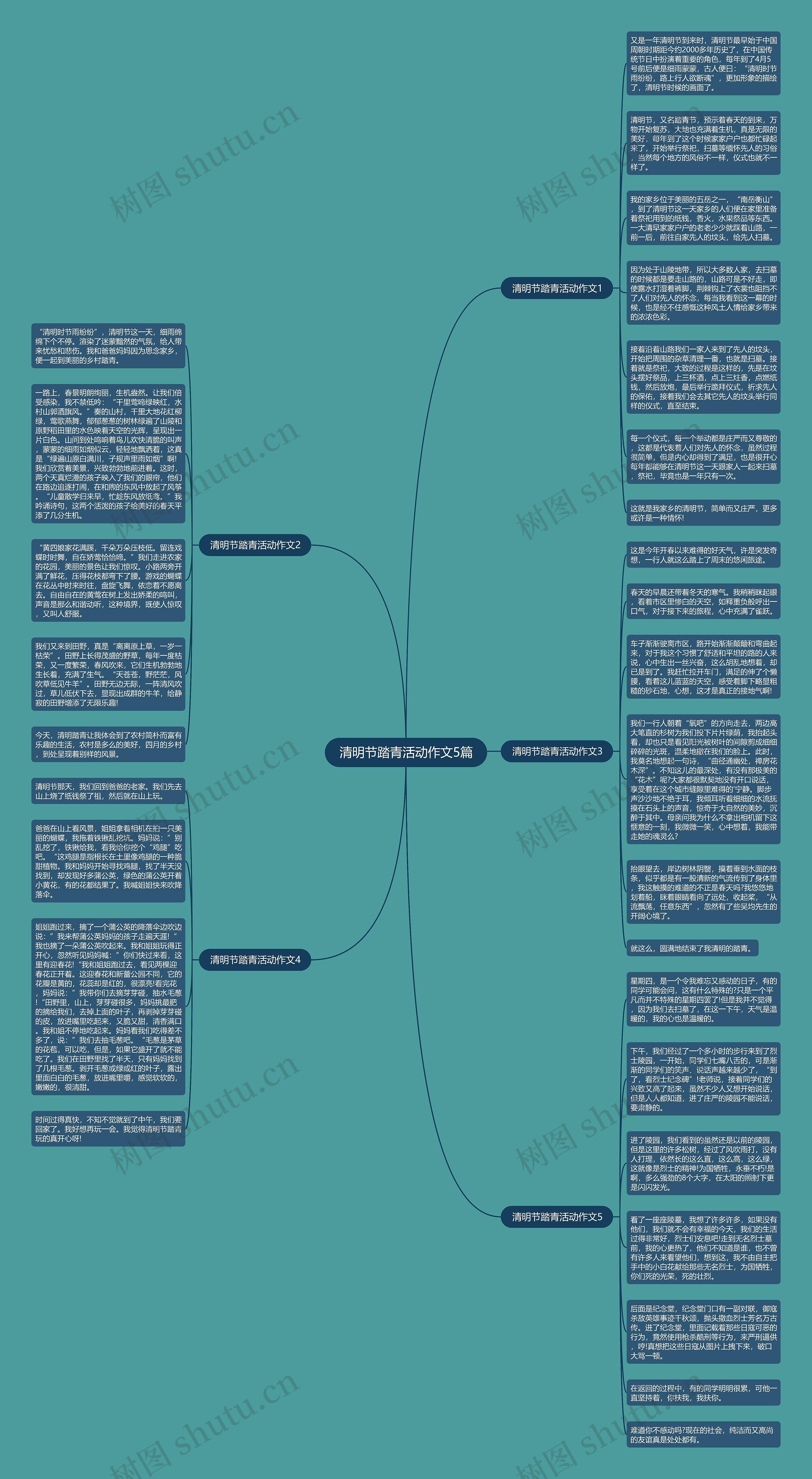 清明节踏青活动作文5篇思维导图