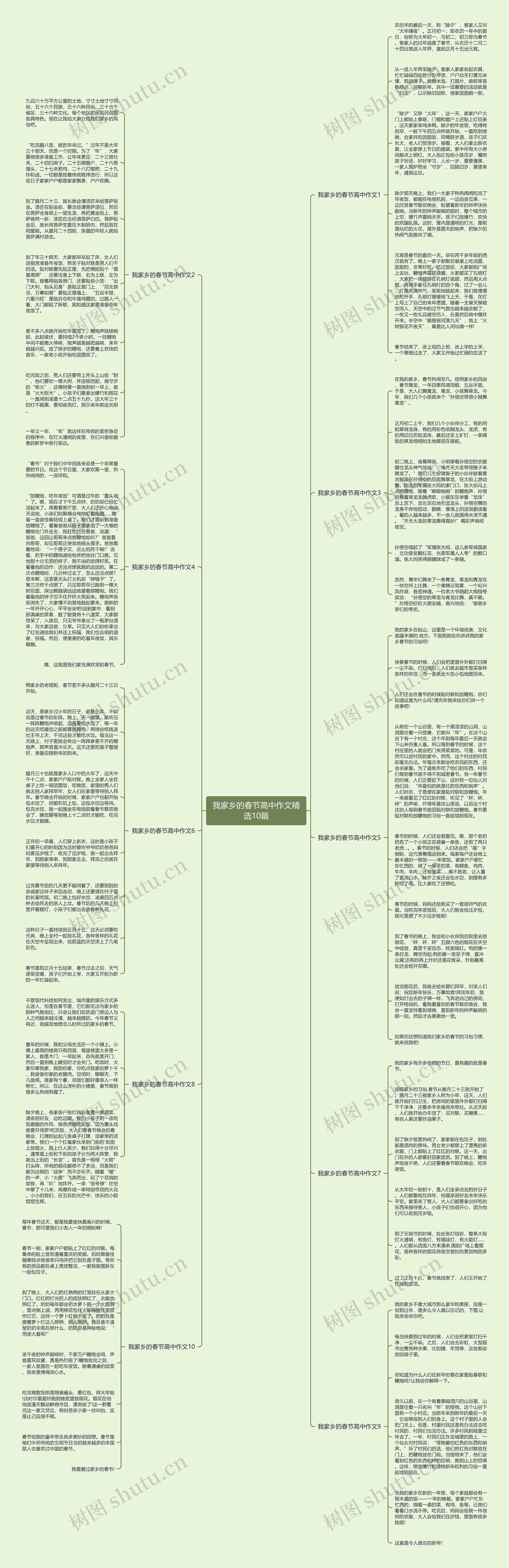 我家乡的春节高中作文精选10篇思维导图