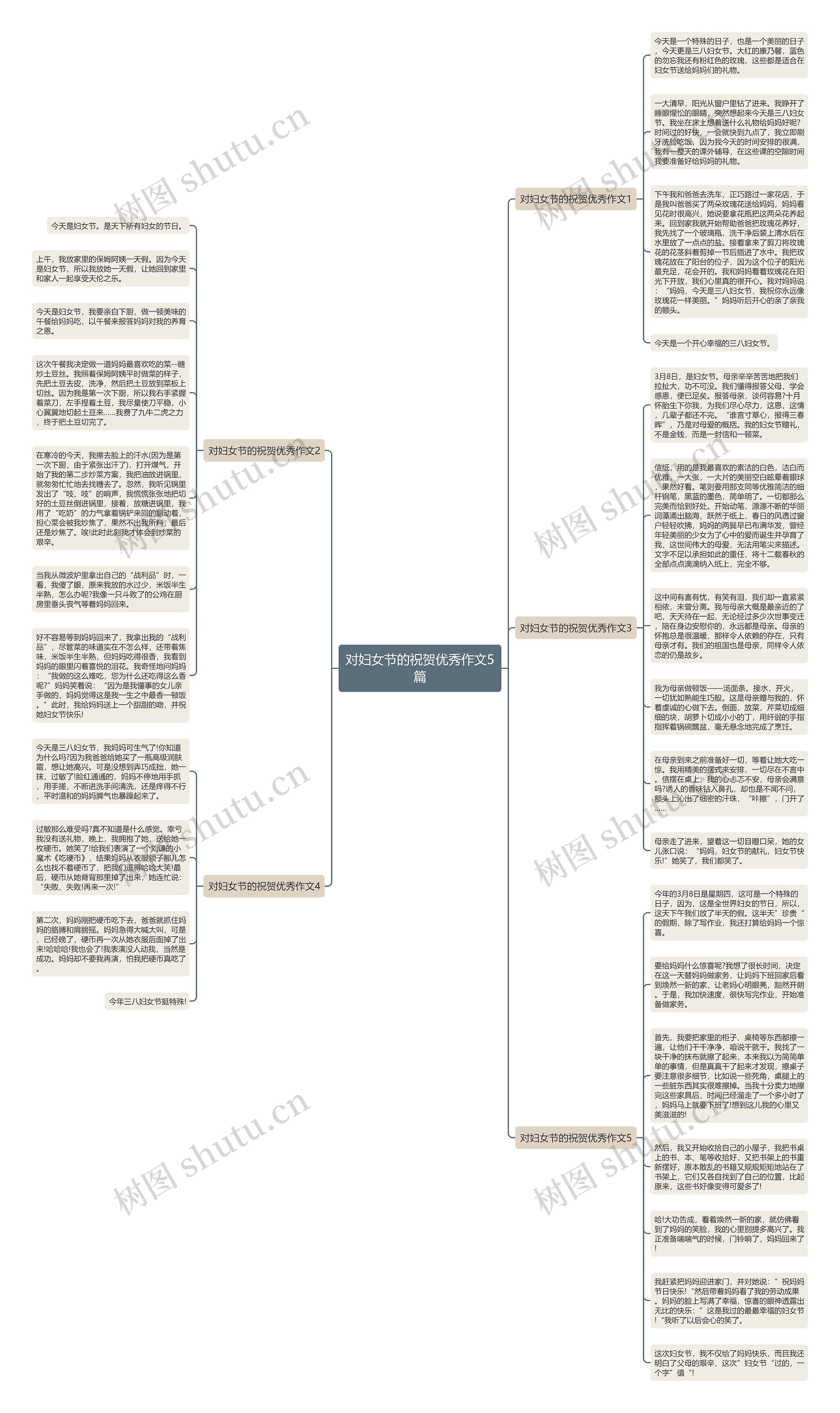对妇女节的祝贺优秀作文5篇思维导图