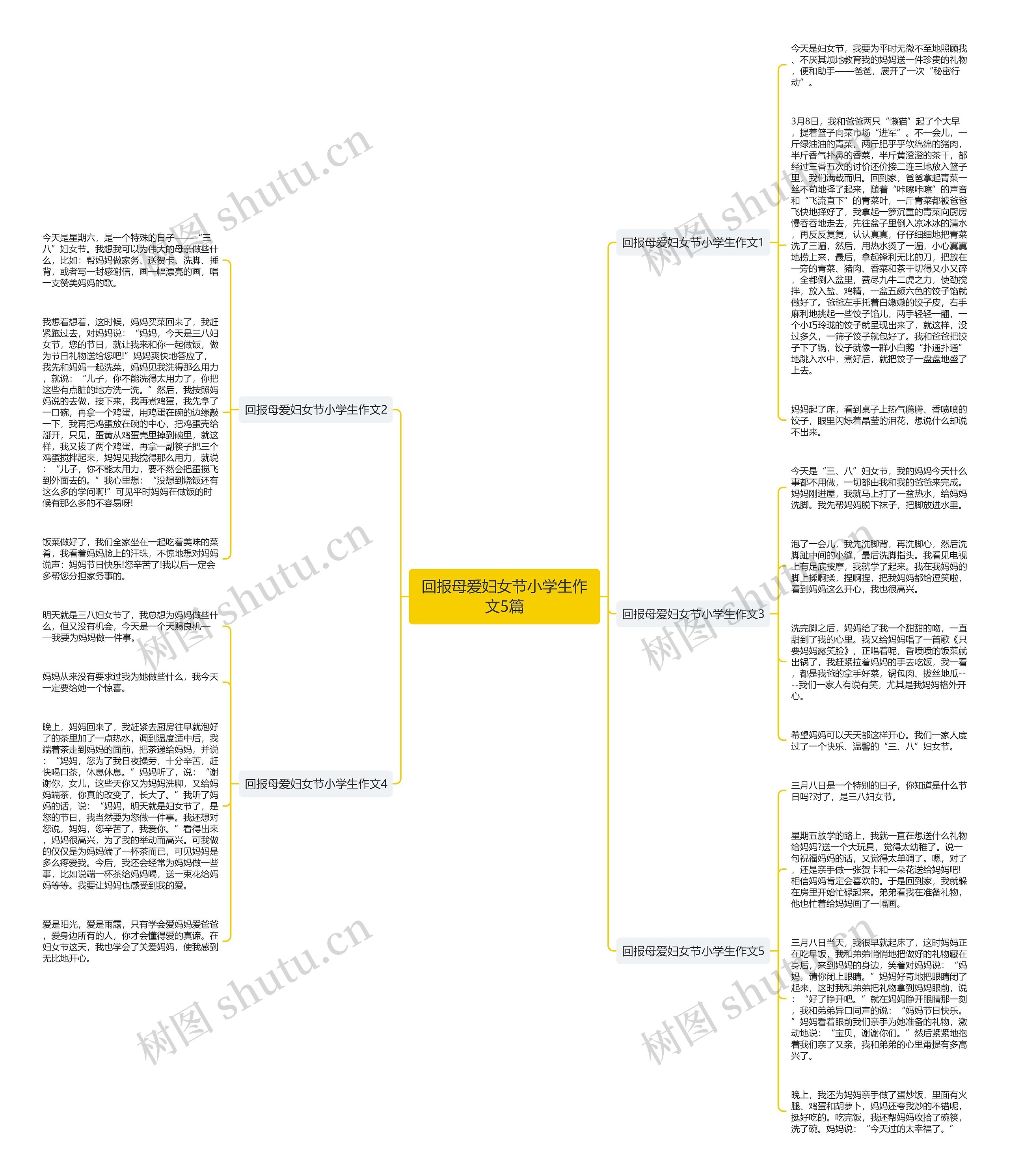 回报母爱妇女节小学生作文5篇