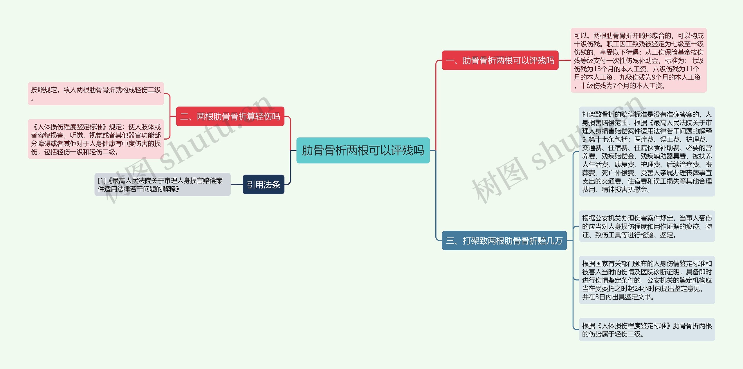 肋骨骨析两根可以评残吗思维导图