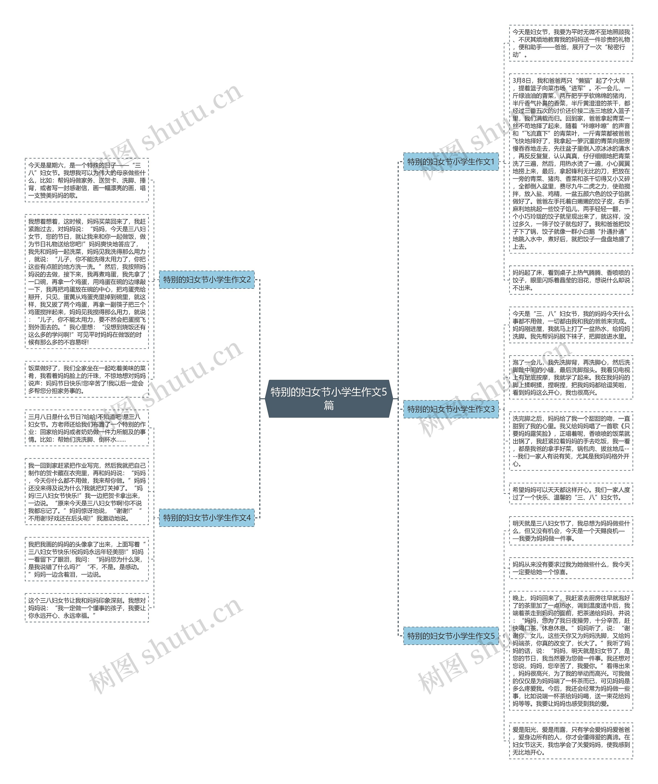 特别的妇女节小学生作文5篇思维导图