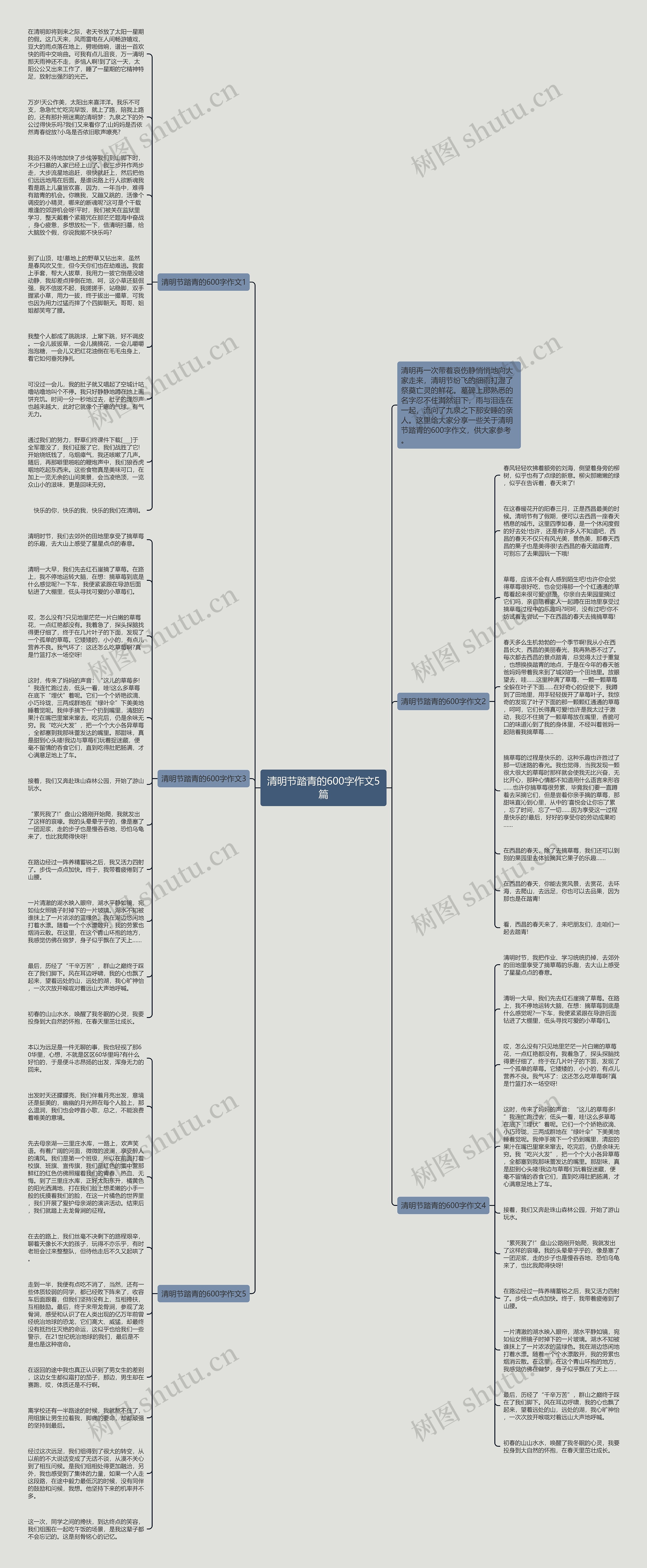清明节踏青的600字作文5篇思维导图