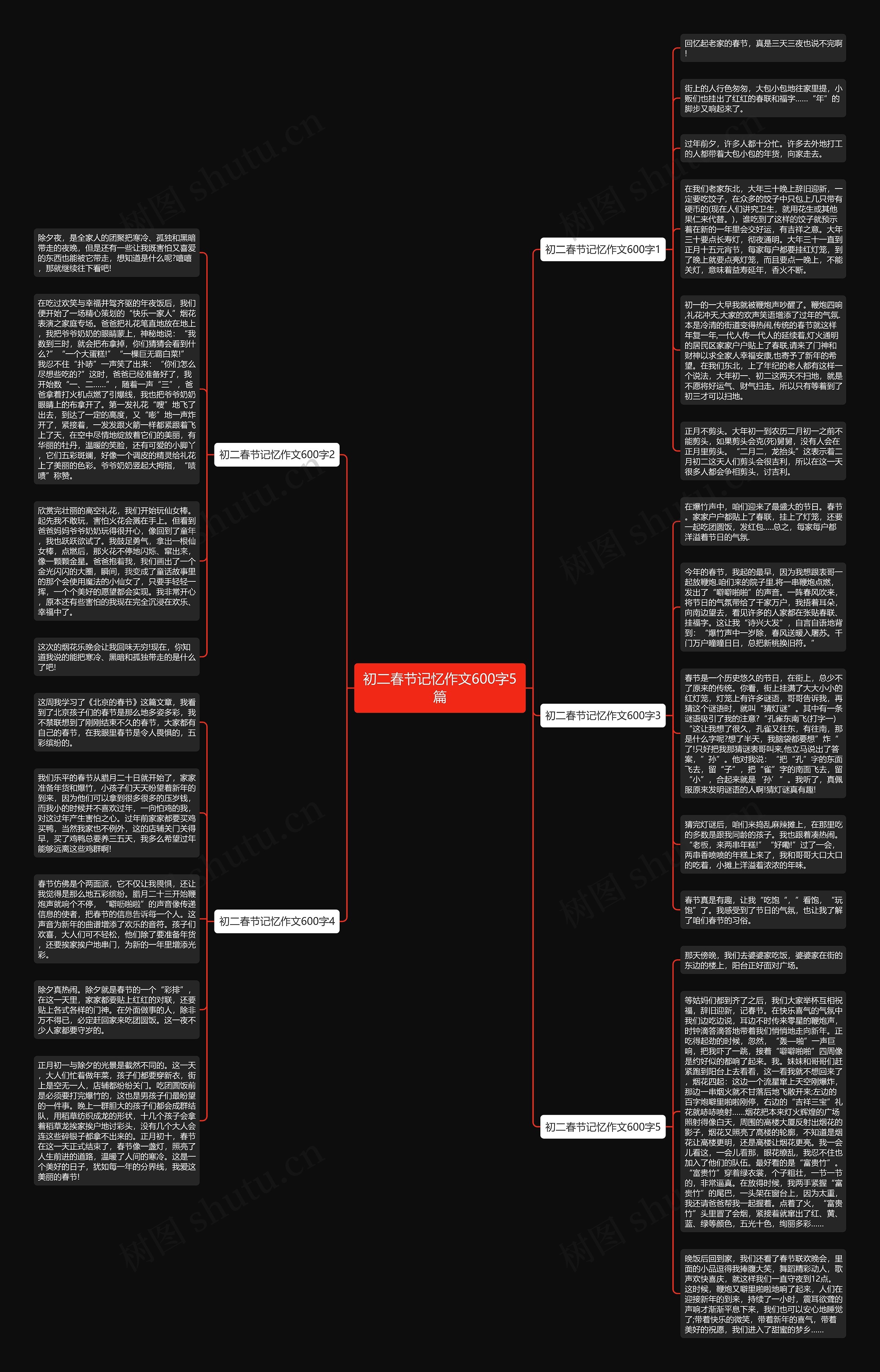 初二春节记忆作文600字5篇思维导图