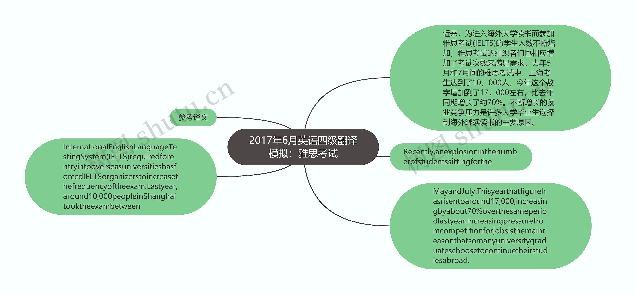 2017年6月英语四级翻译模拟：雅思考试