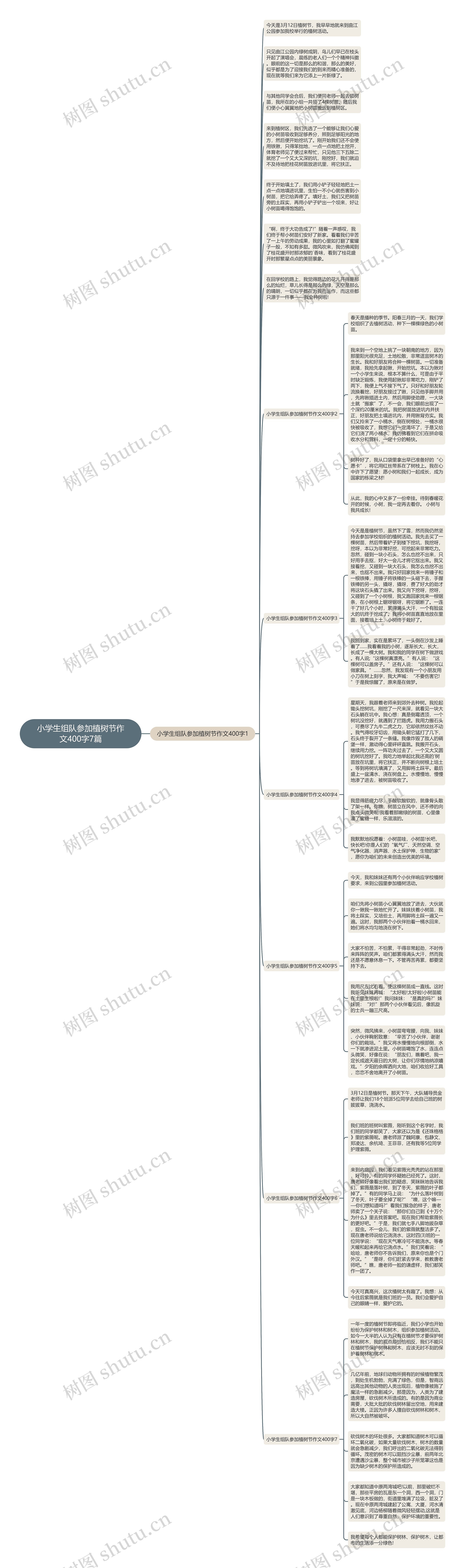 小学生组队参加植树节作文400字7篇思维导图