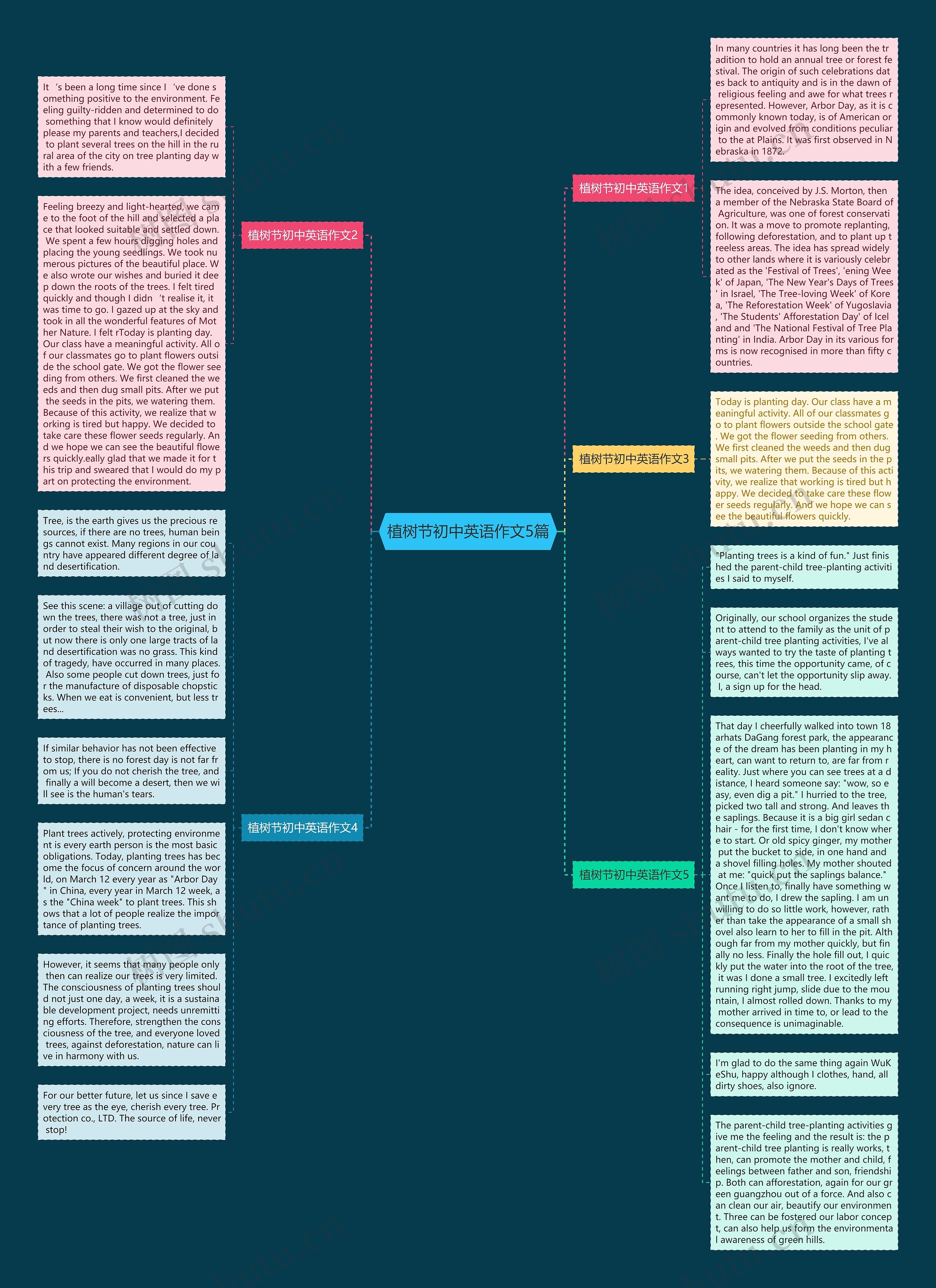 植树节初中英语作文5篇思维导图