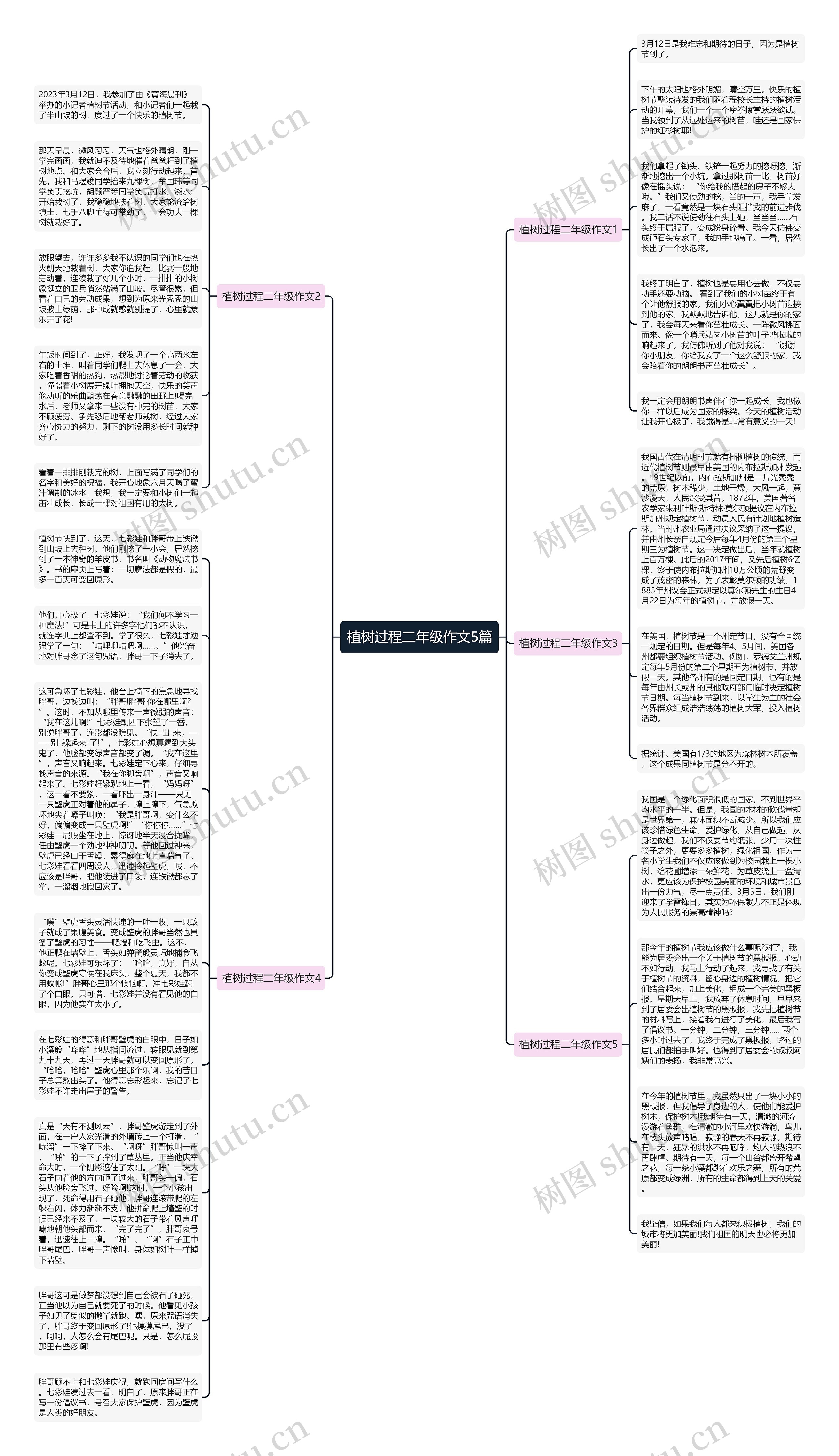 植树过程二年级作文5篇思维导图