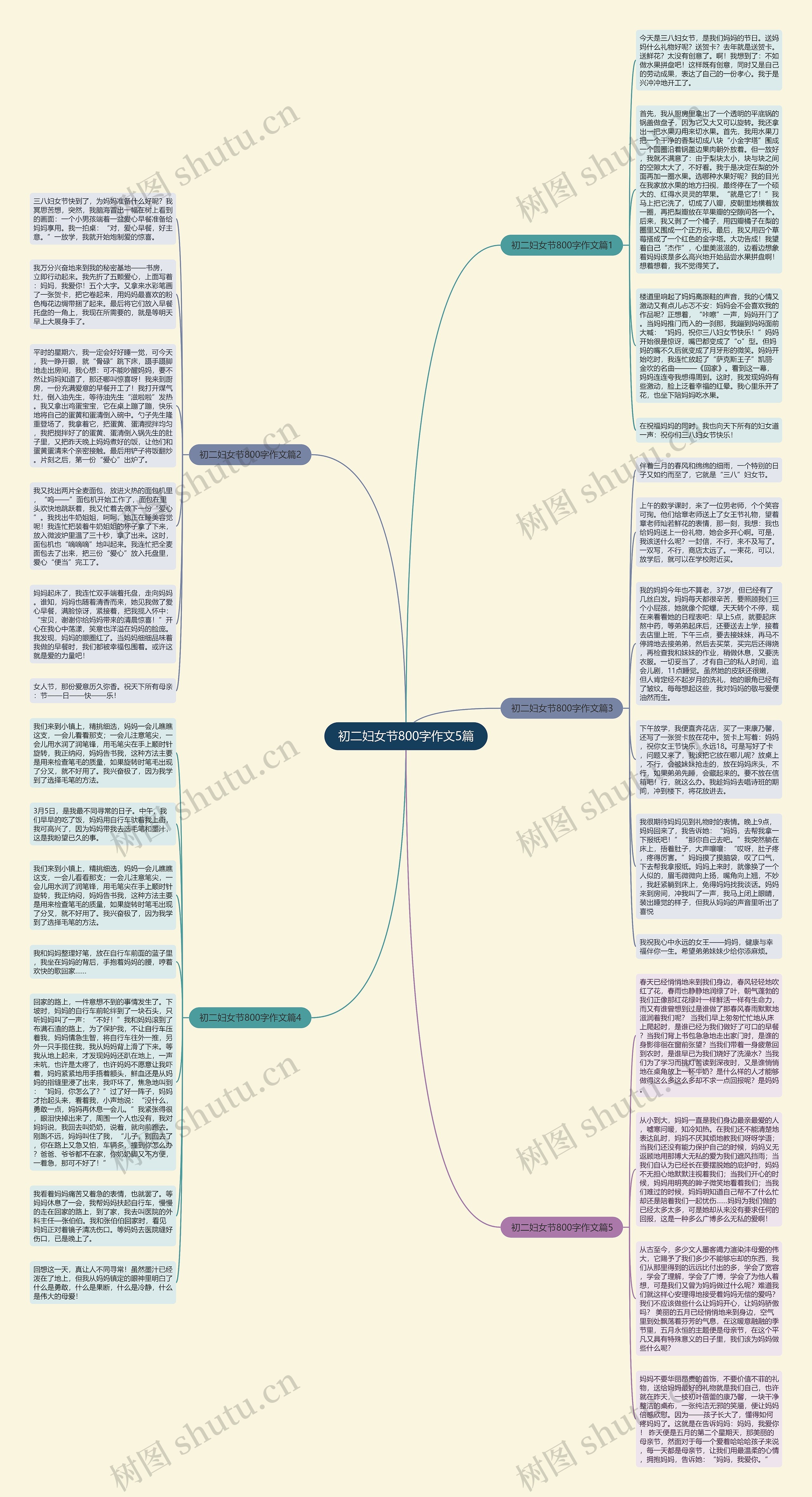 初二妇女节800字作文5篇思维导图