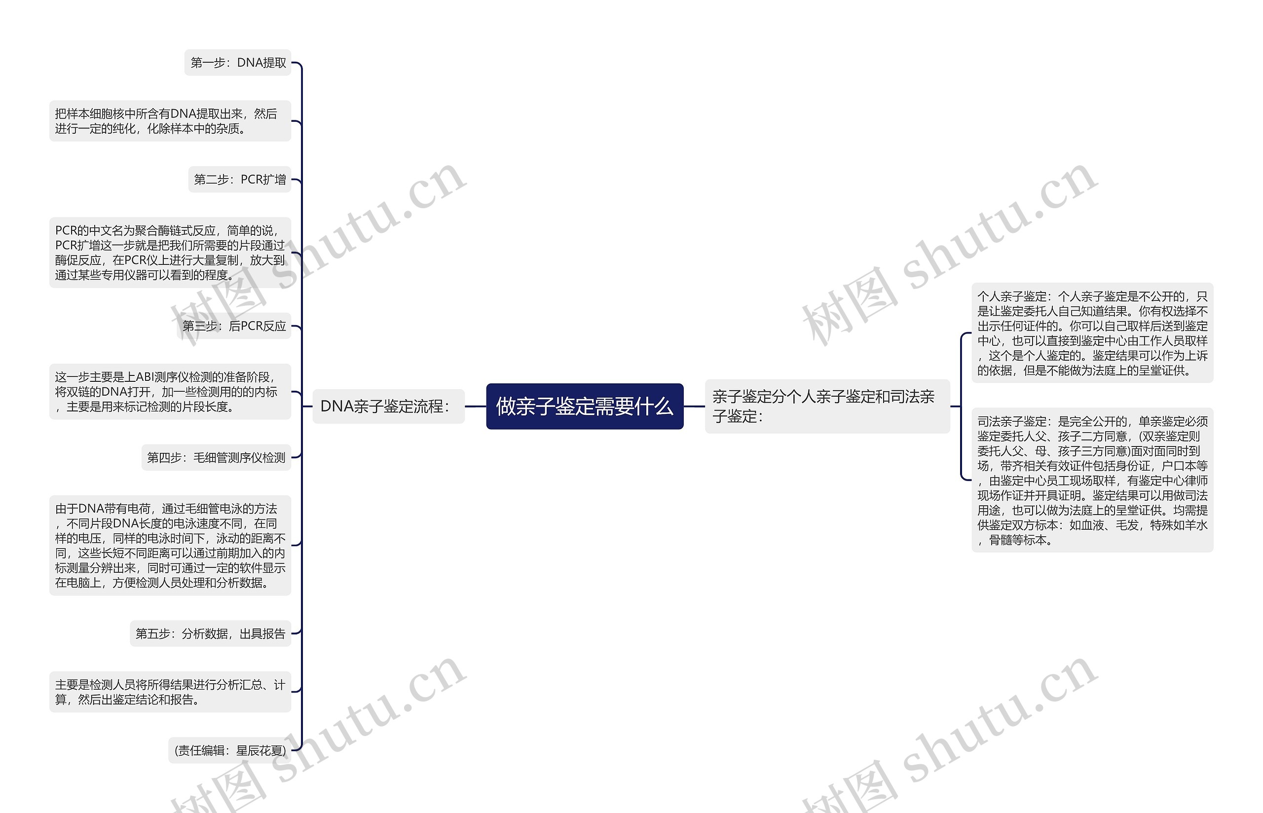 做亲子鉴定需要什么