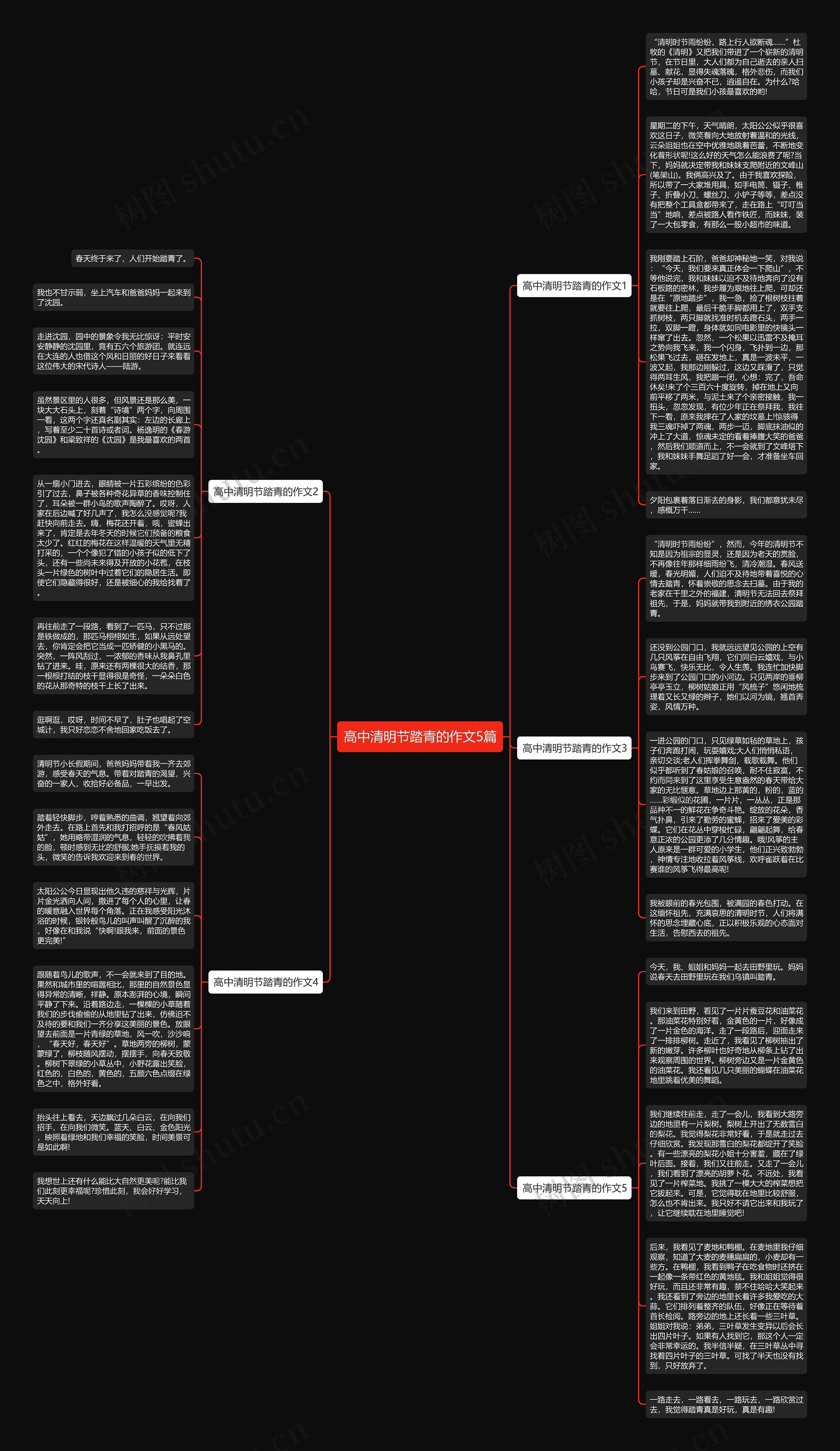 高中清明节踏青的作文5篇思维导图