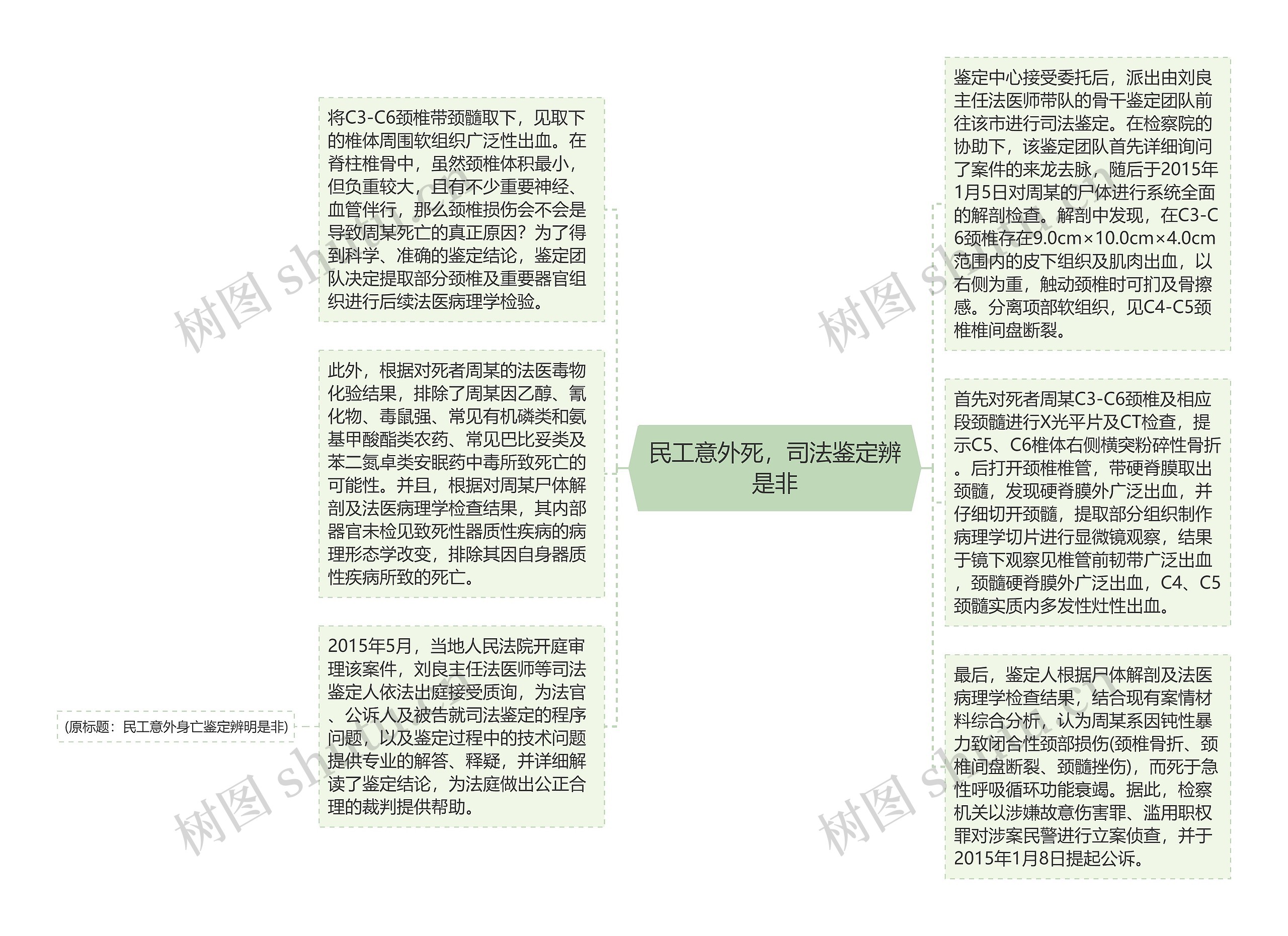 民工意外死，司法鉴定辨是非思维导图