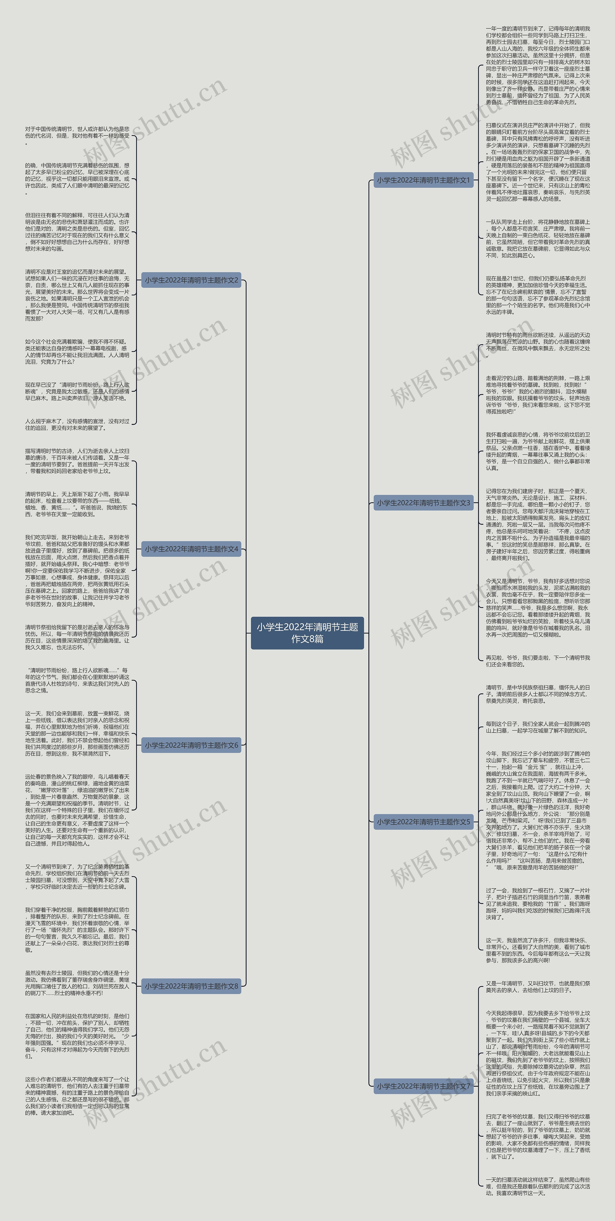 小学生2022年清明节主题作文8篇思维导图