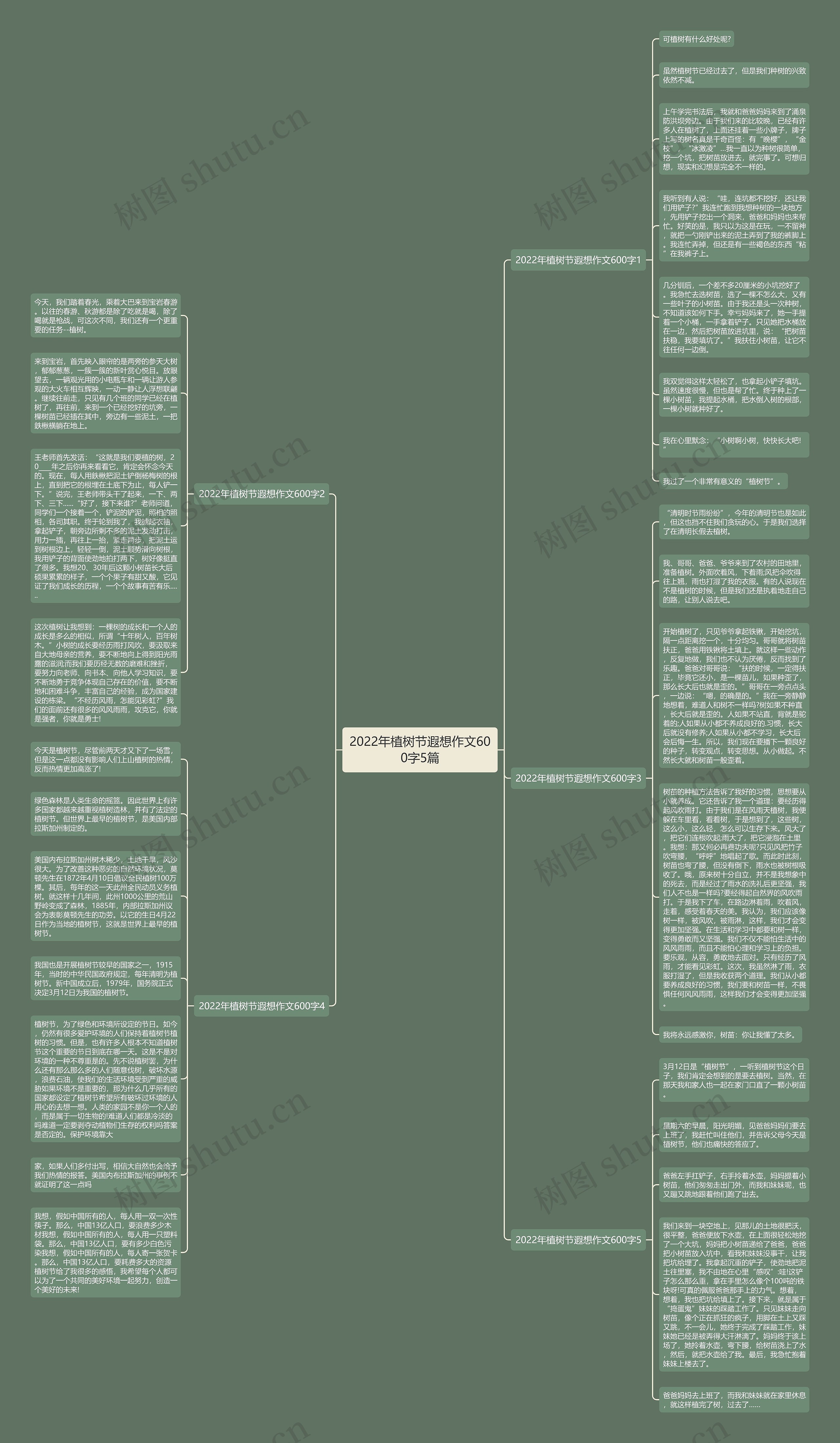 2022年植树节遐想作文600字5篇思维导图