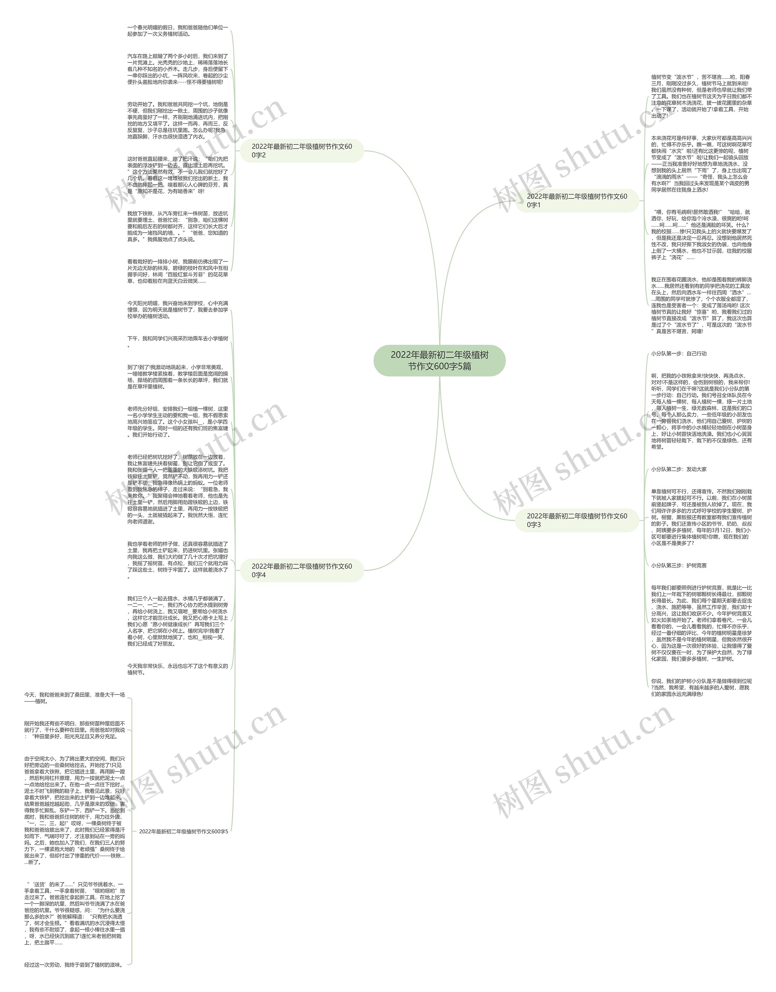 2022年最新初二年级植树节作文600字5篇