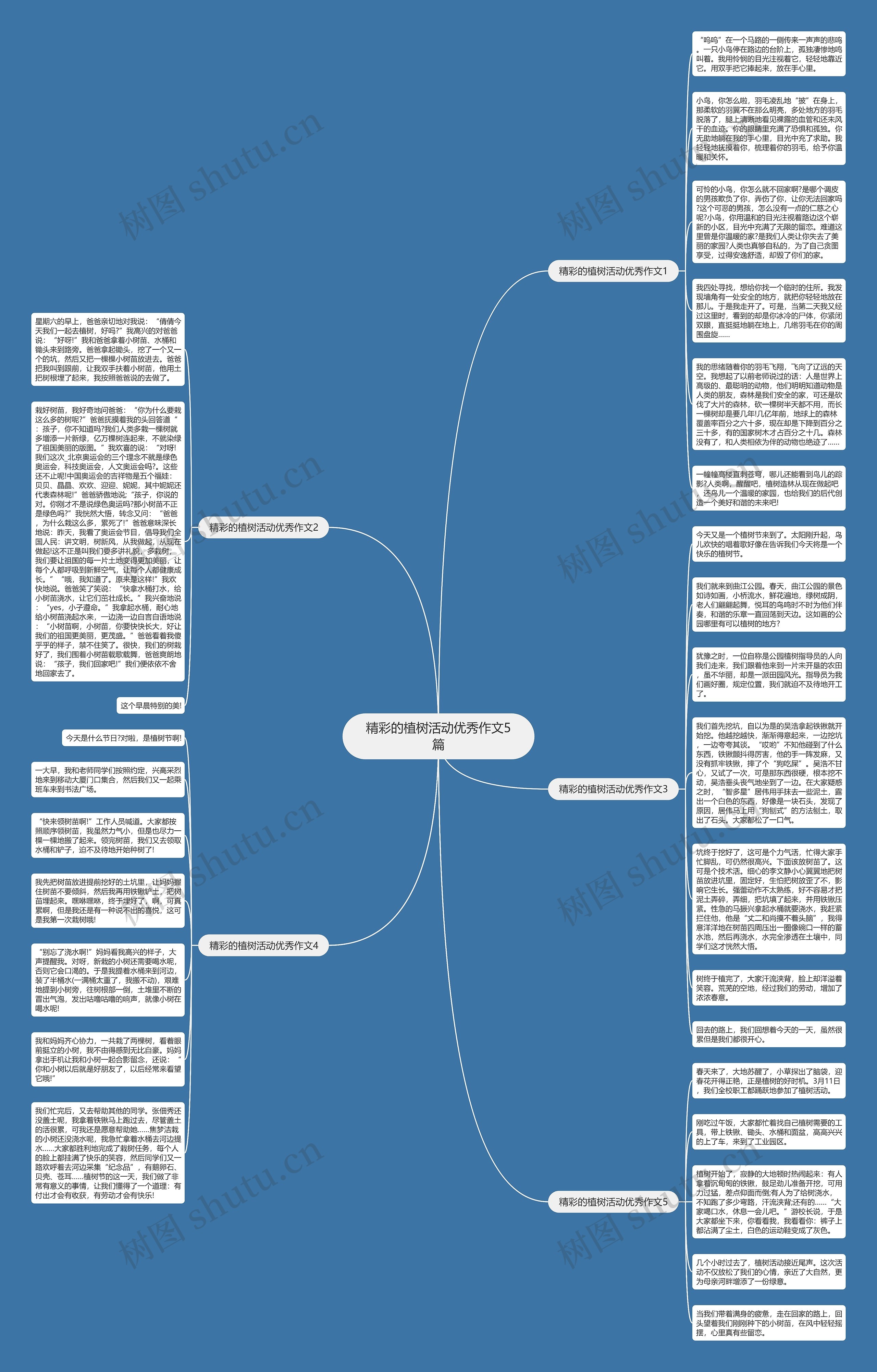 精彩的植树活动优秀作文5篇思维导图