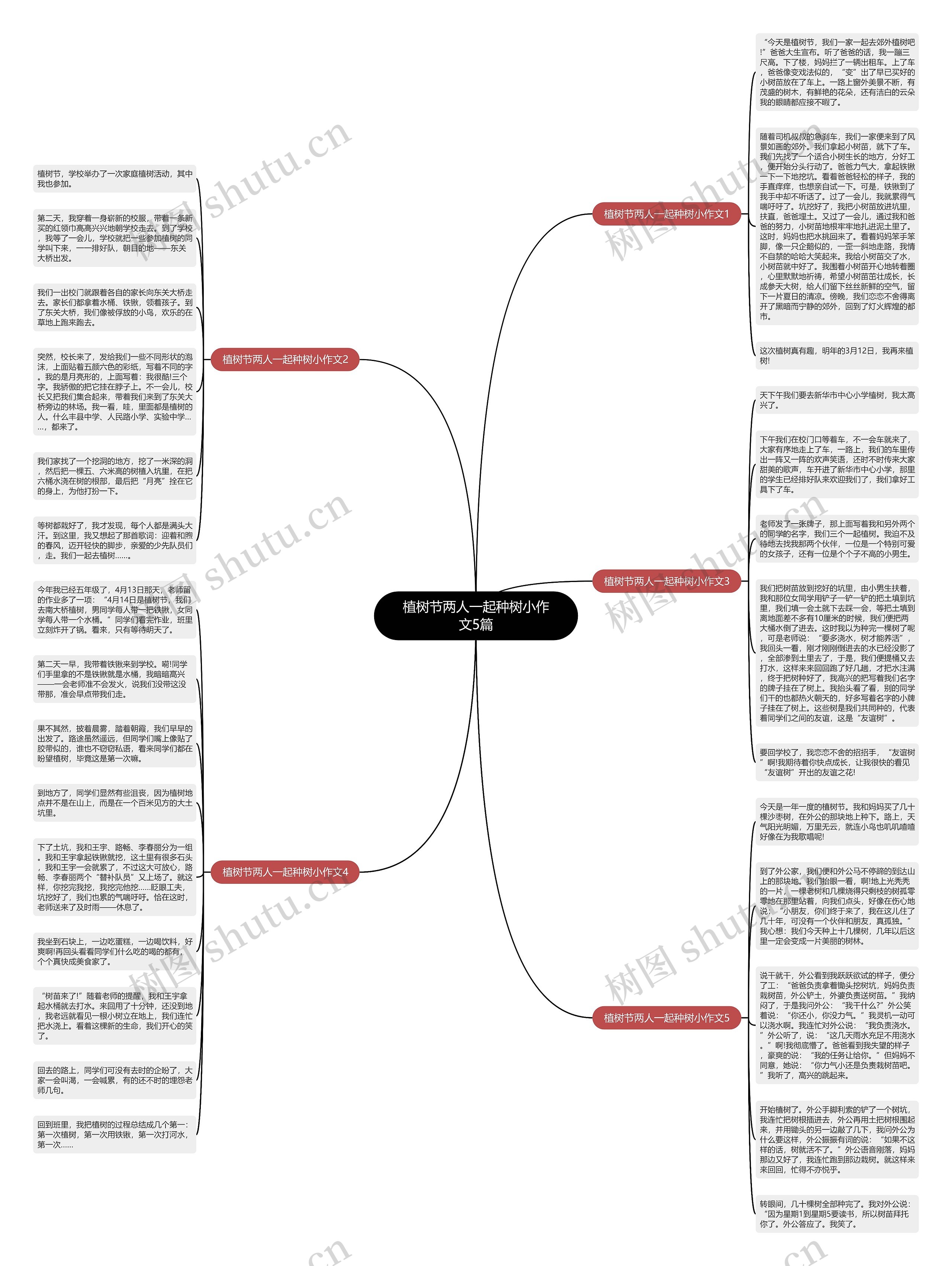植树节两人一起种树小作文5篇思维导图