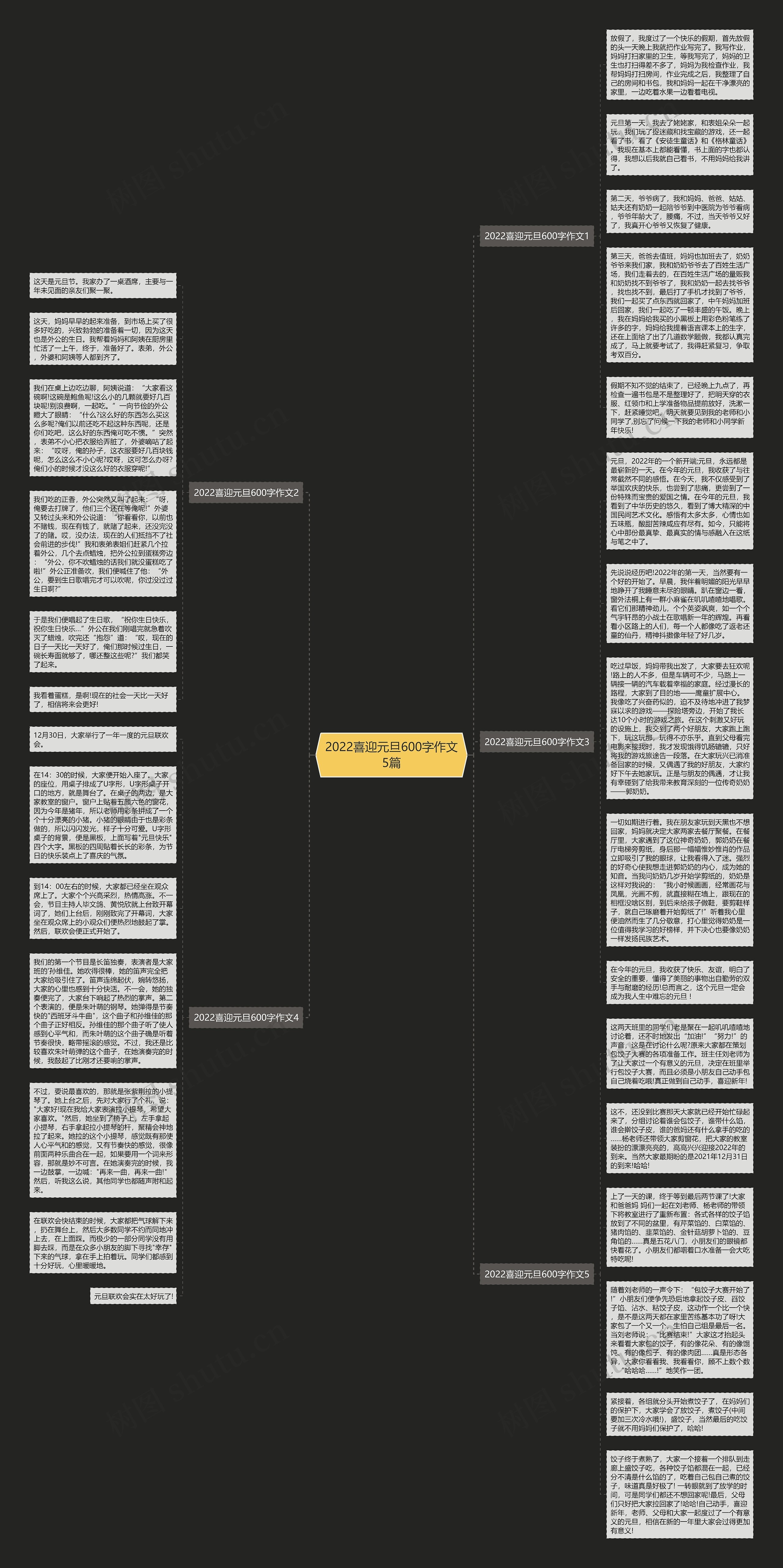 2022喜迎元旦600字作文5篇思维导图