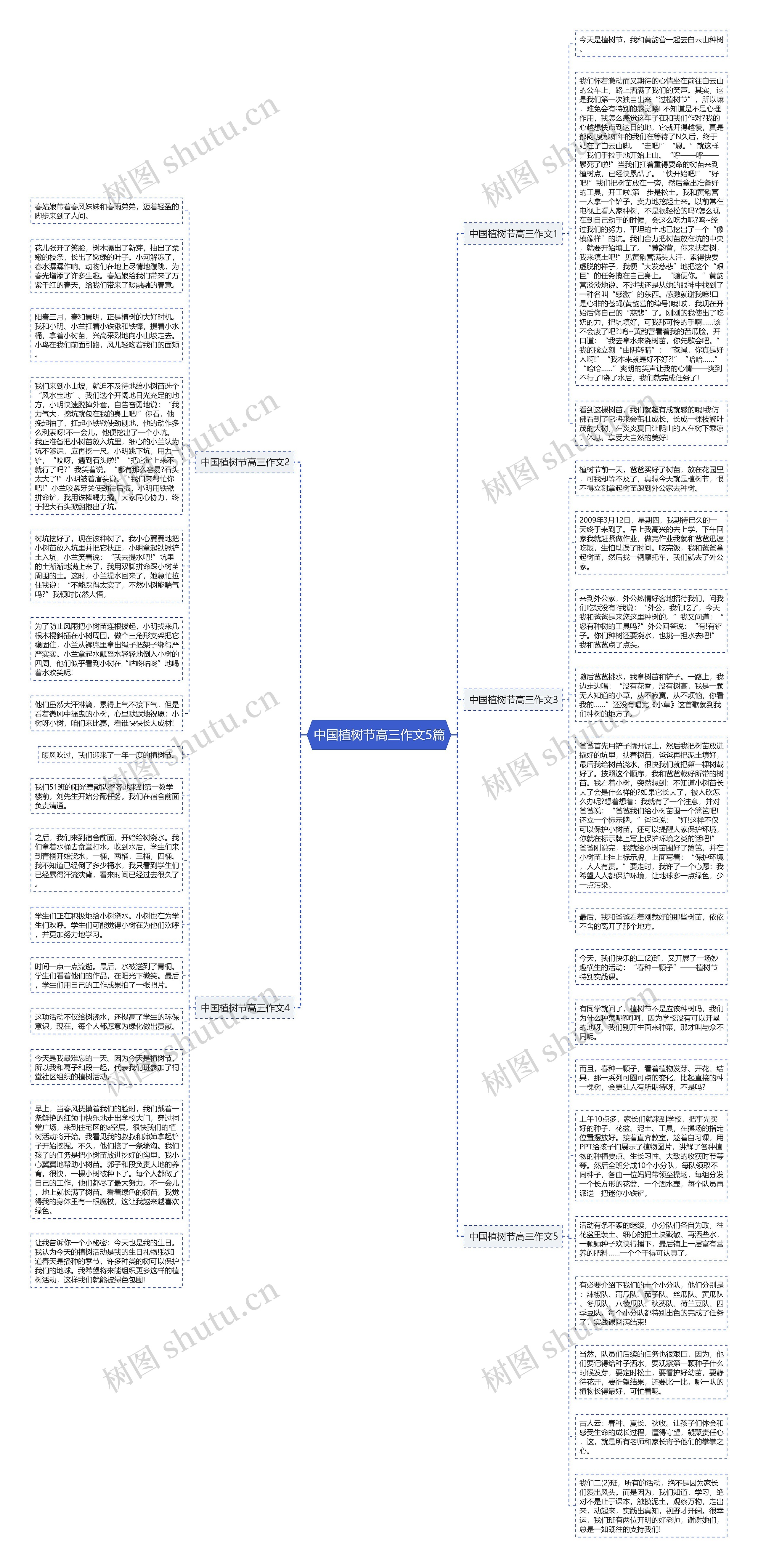 中国植树节高三作文5篇思维导图