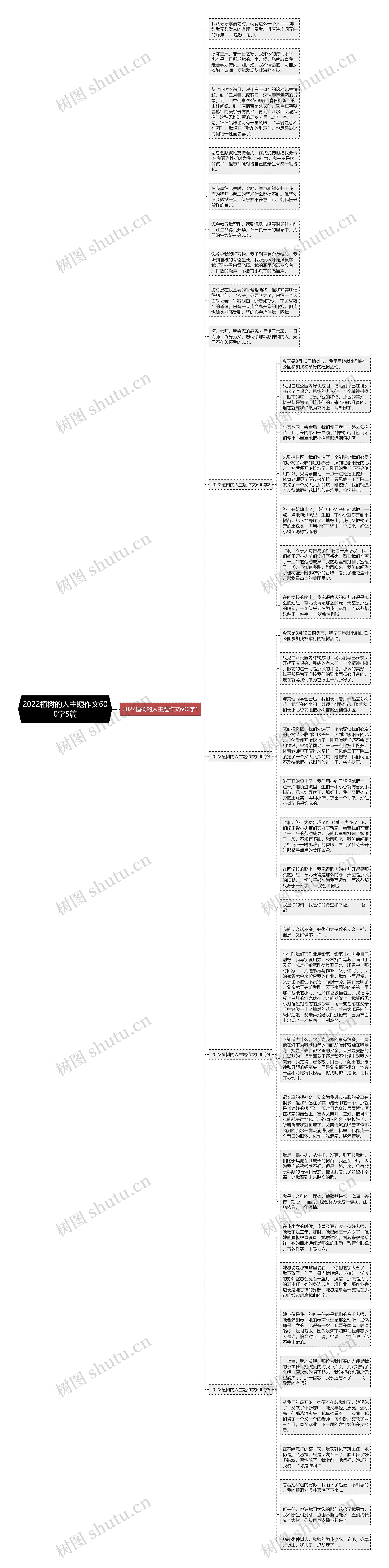 2022植树的人主题作文600字5篇思维导图