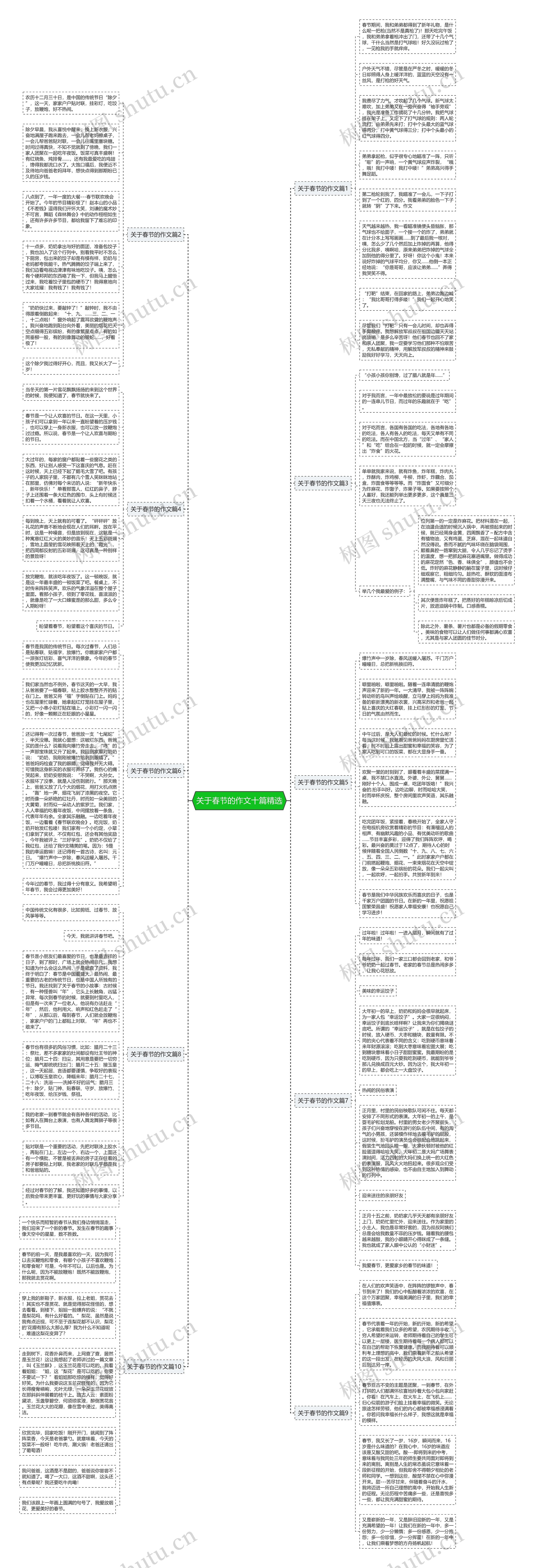 关于春节的作文十篇精选思维导图