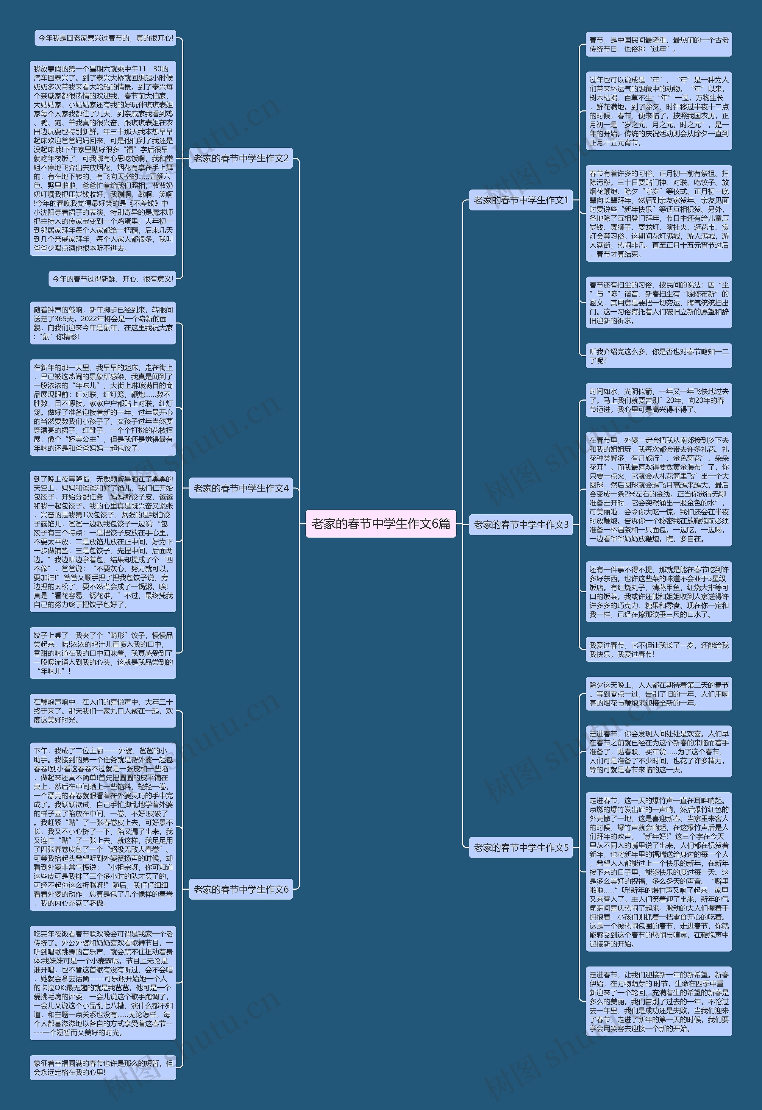 老家的春节中学生作文6篇思维导图