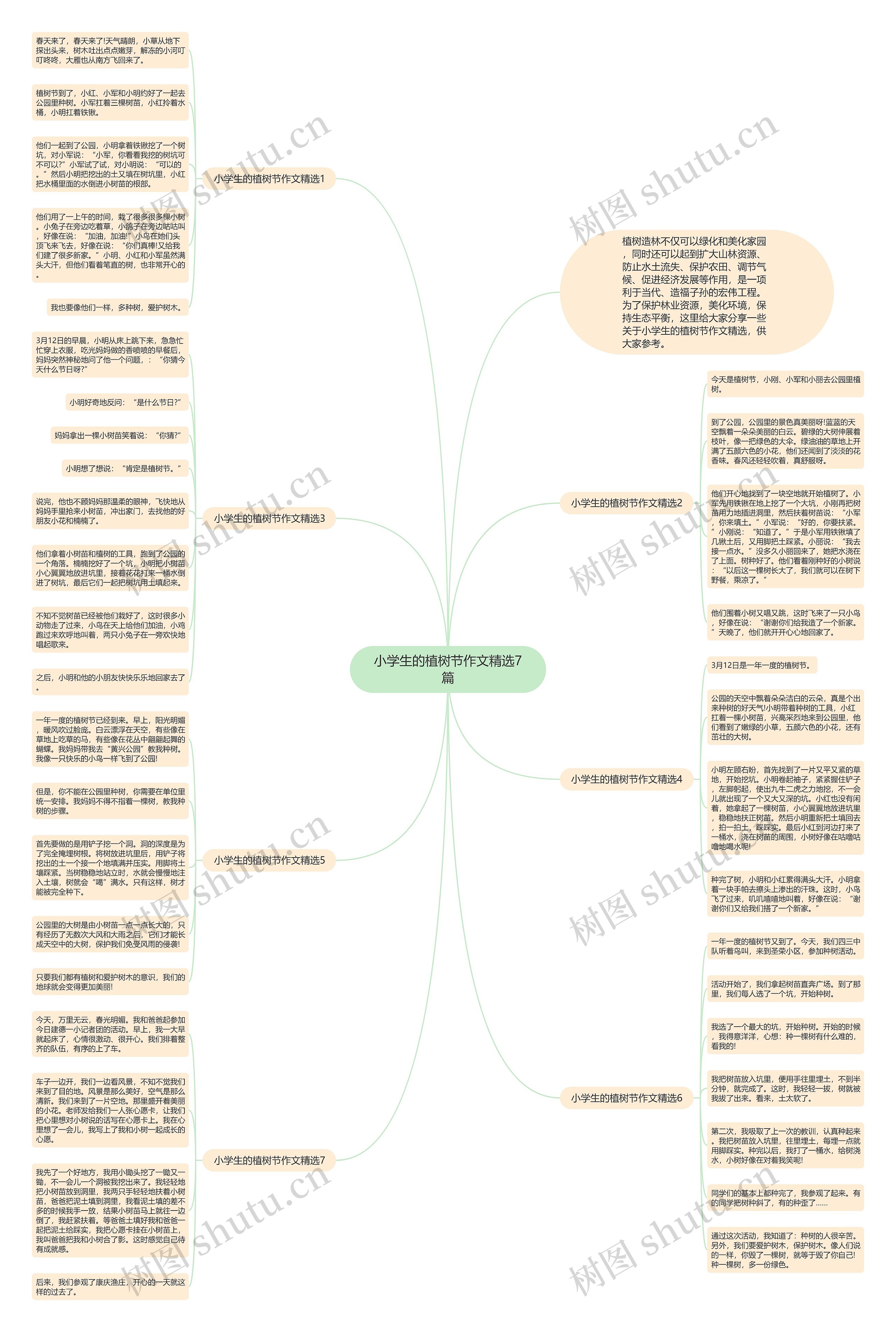 小学生的植树节作文精选7篇思维导图