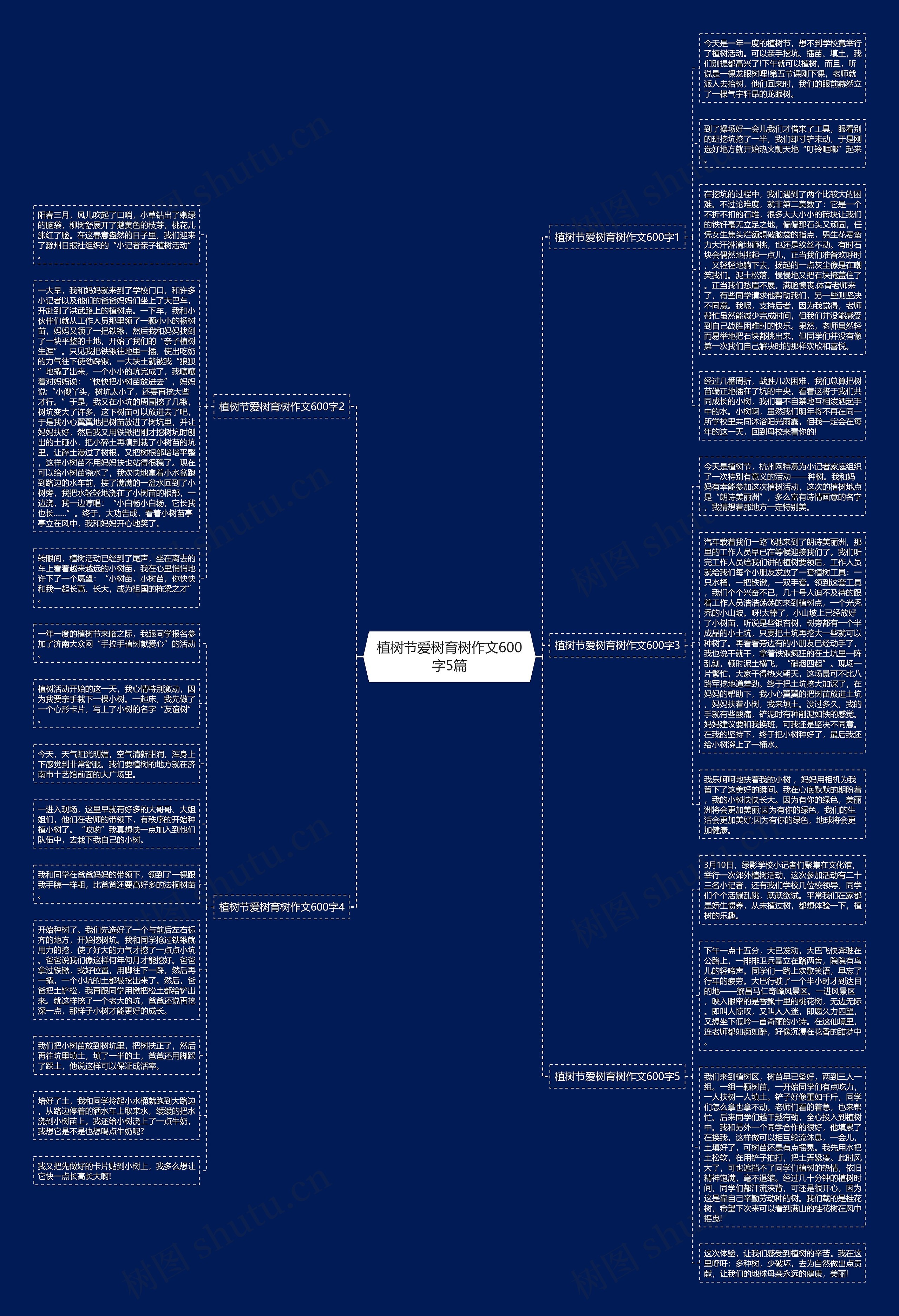 植树节爱树育树作文600字5篇思维导图