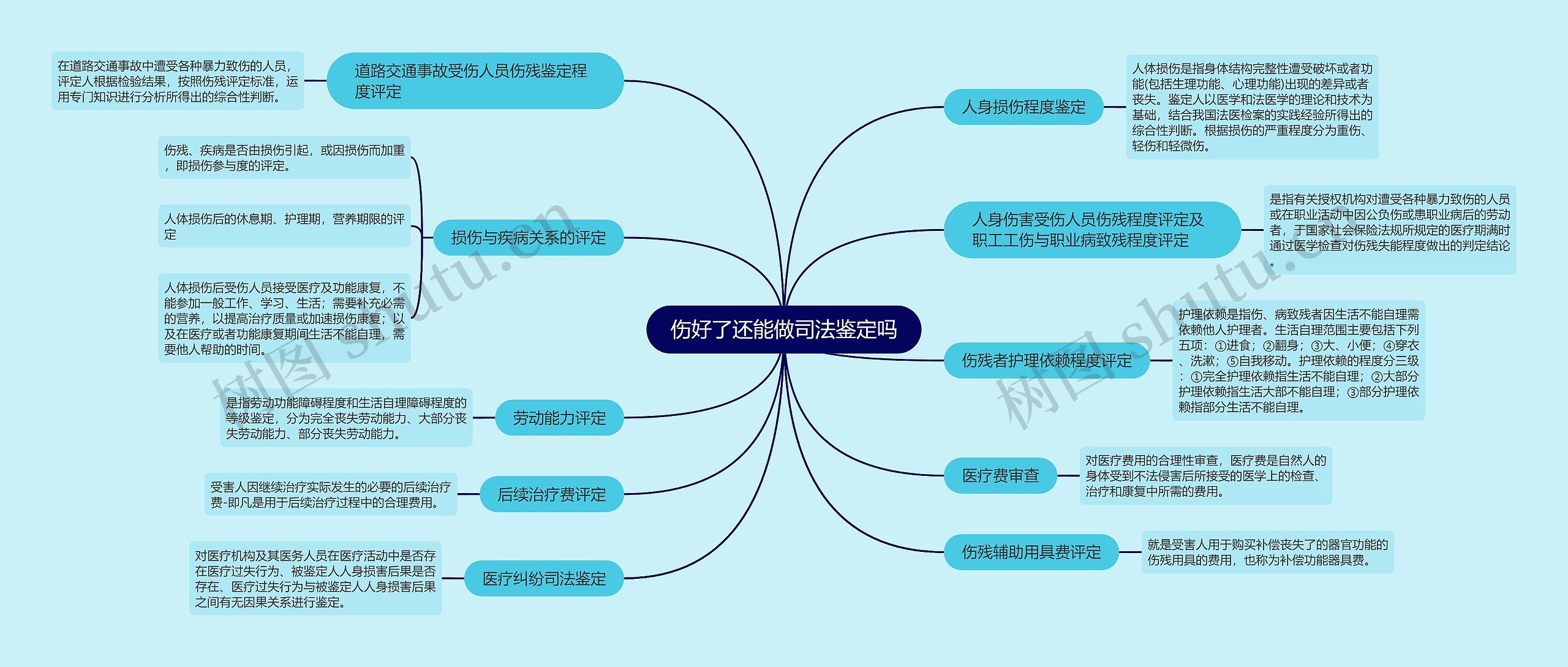 伤好了还能做司法鉴定吗思维导图